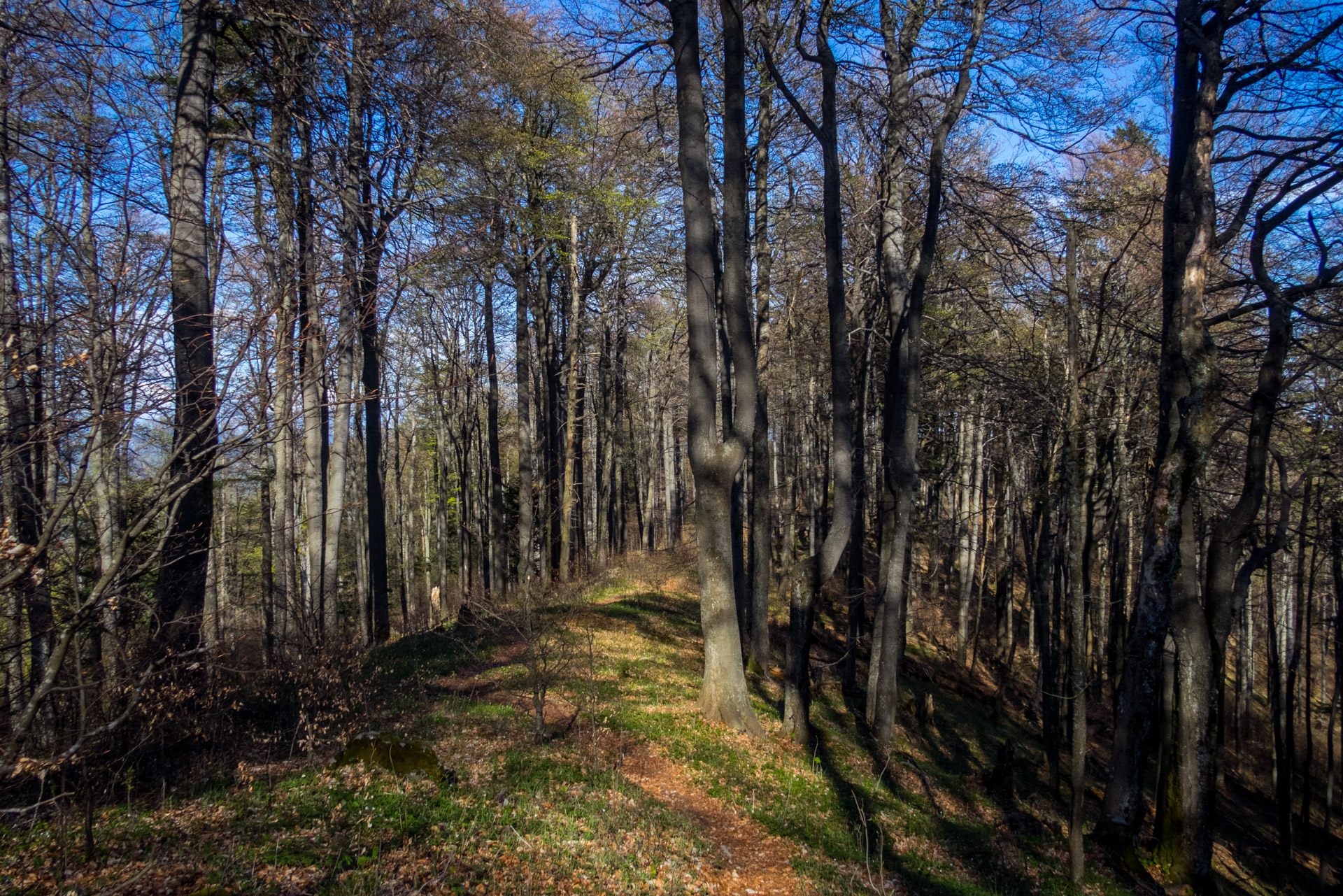 Hrebeňovka Slovenského Rudohoria (1. deň) (Veporské vrchy)