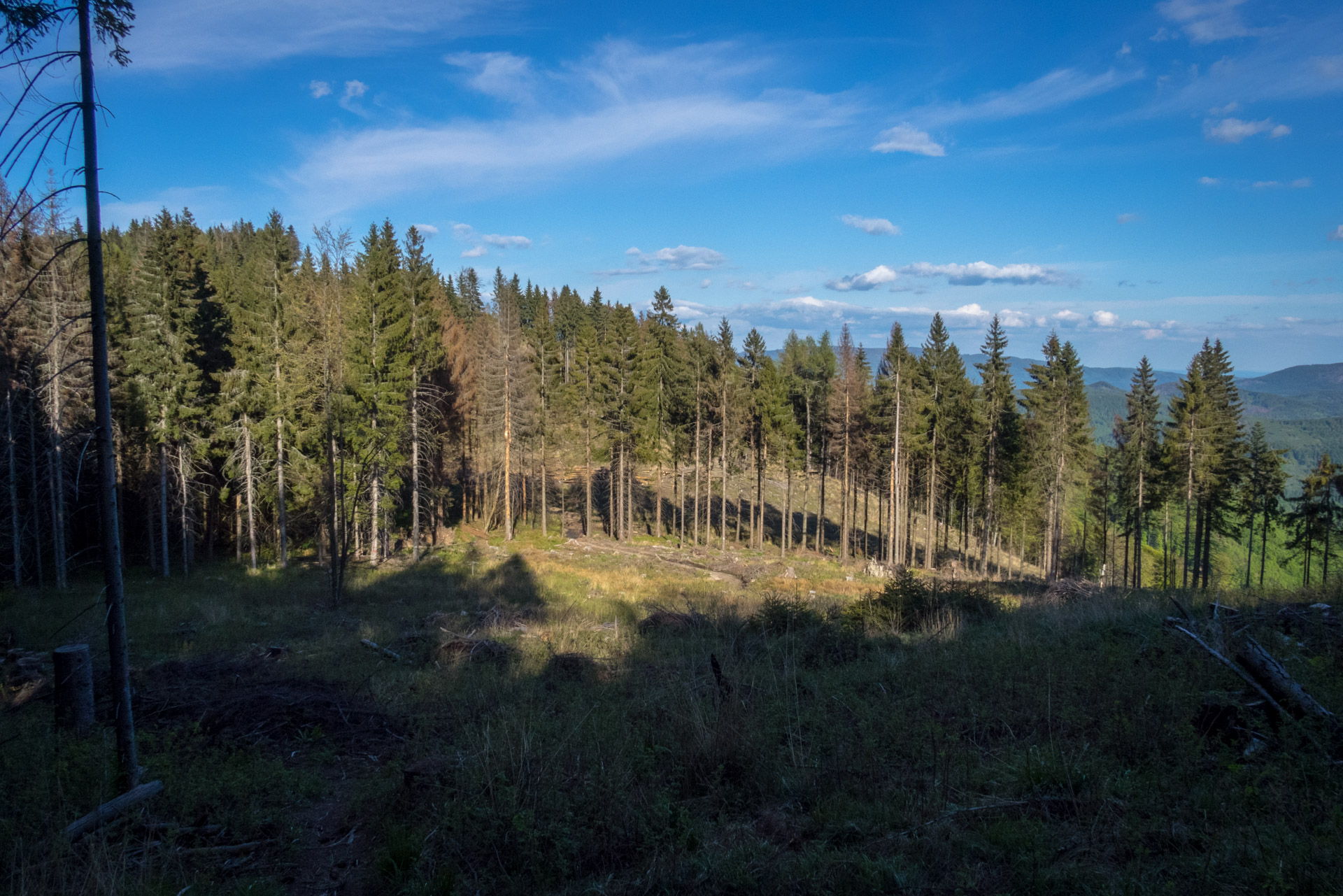 Hrebeňovka Slovenského Rudohoria (1. deň) (Veporské vrchy)