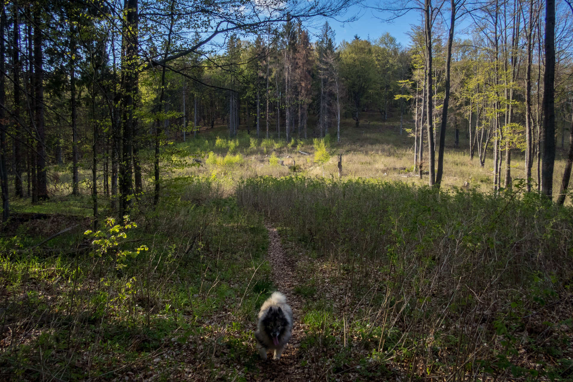 Hrebeňovka Slovenského Rudohoria (1. deň) (Veporské vrchy)