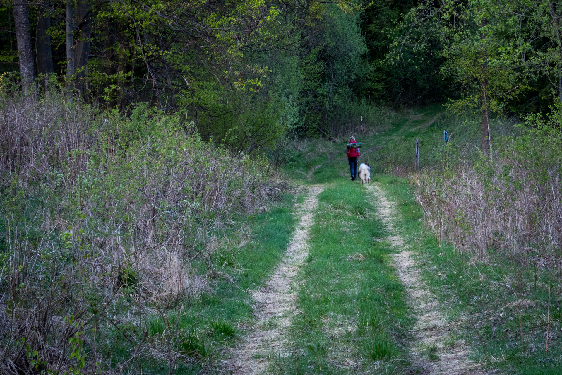 Hrebeňovka Slovenského Rudohoria (1. deň) (Veporské vrchy)