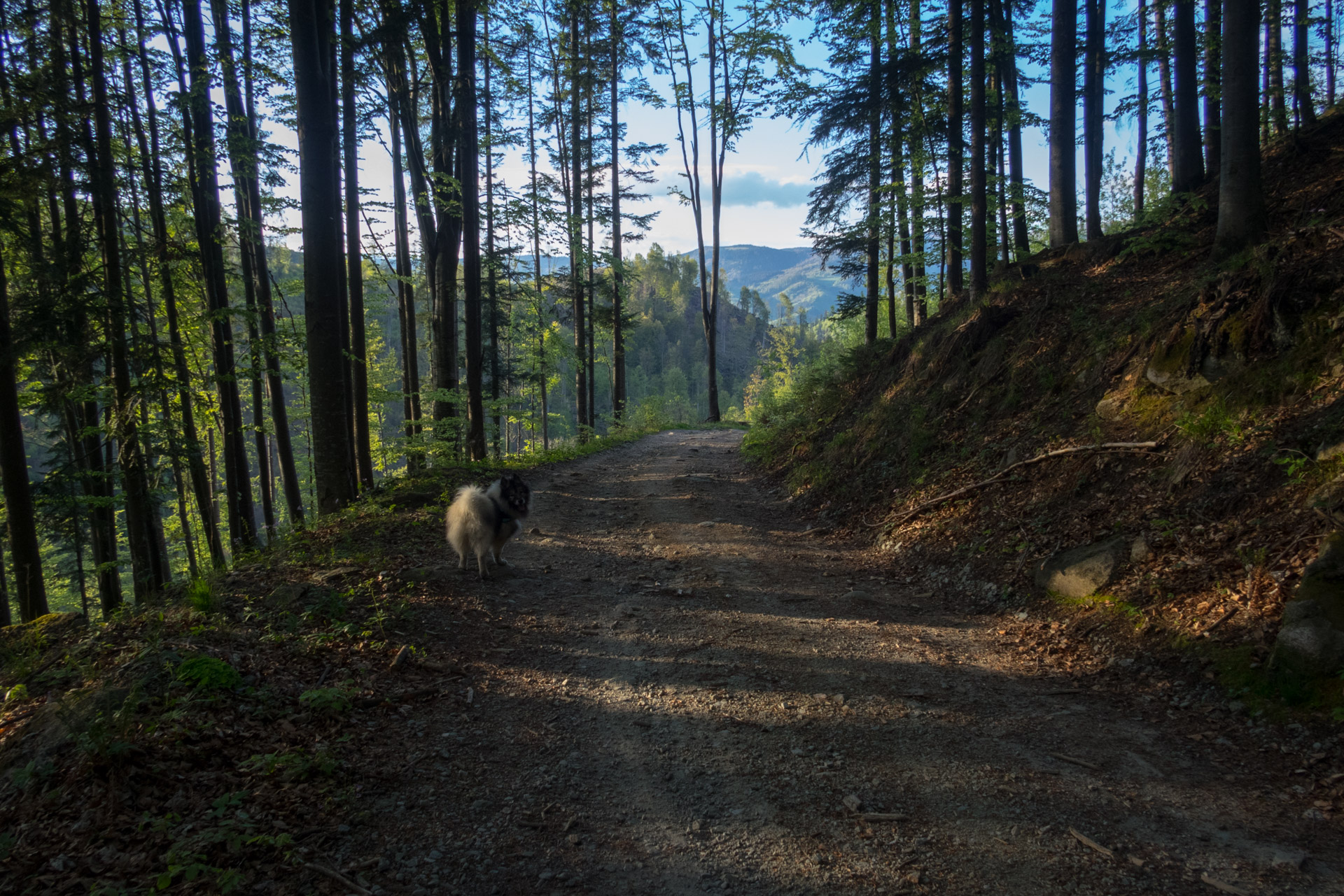 Hrebeňovka Slovenského Rudohoria (1. deň) (Veporské vrchy)