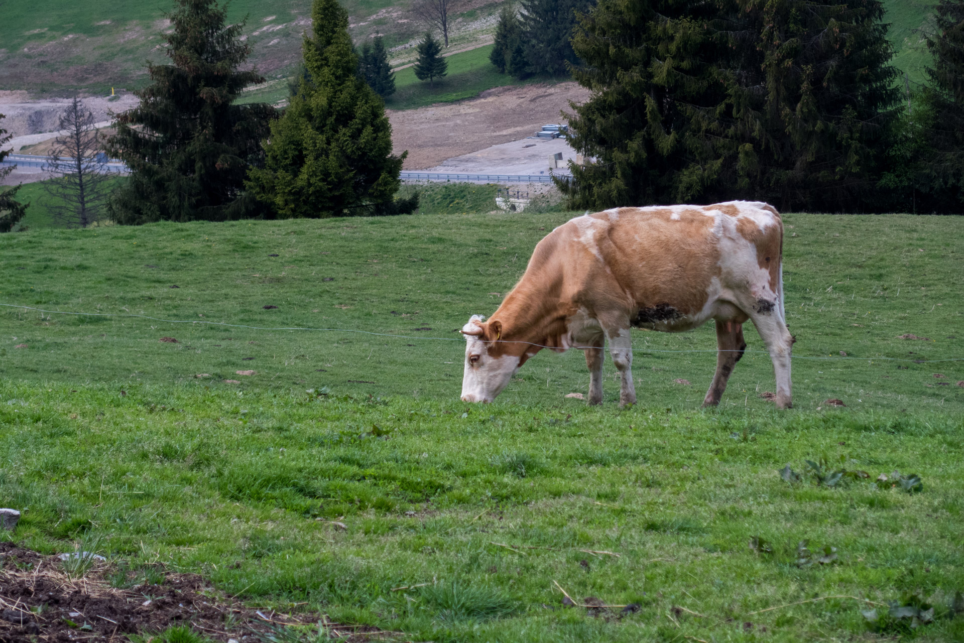 Hrebeňovka Slovenského Rudohoria (2. deň) (Veporské vrchy)