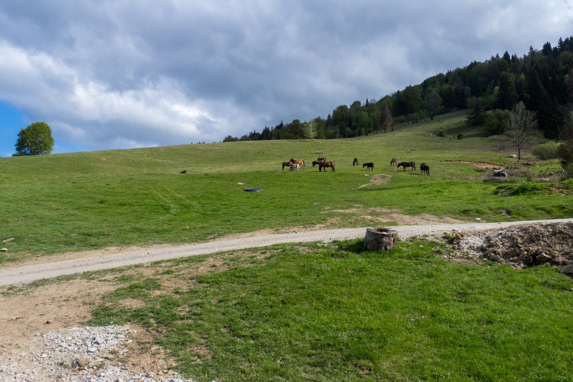 Hrebeňovka Slovenského Rudohoria (2. deň) (Veporské vrchy)