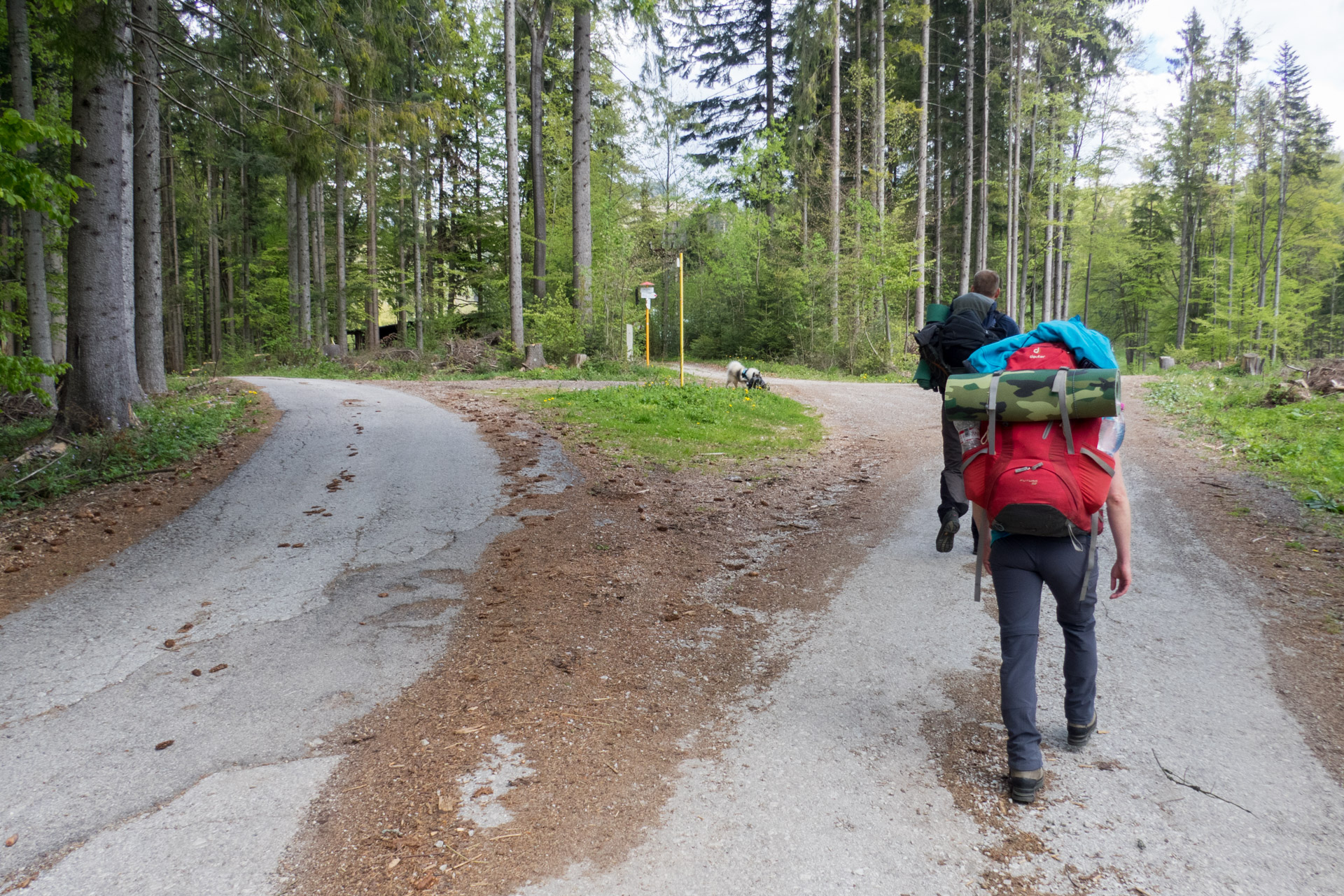 Hrebeňovka Slovenského Rudohoria (2. deň) (Veporské vrchy)