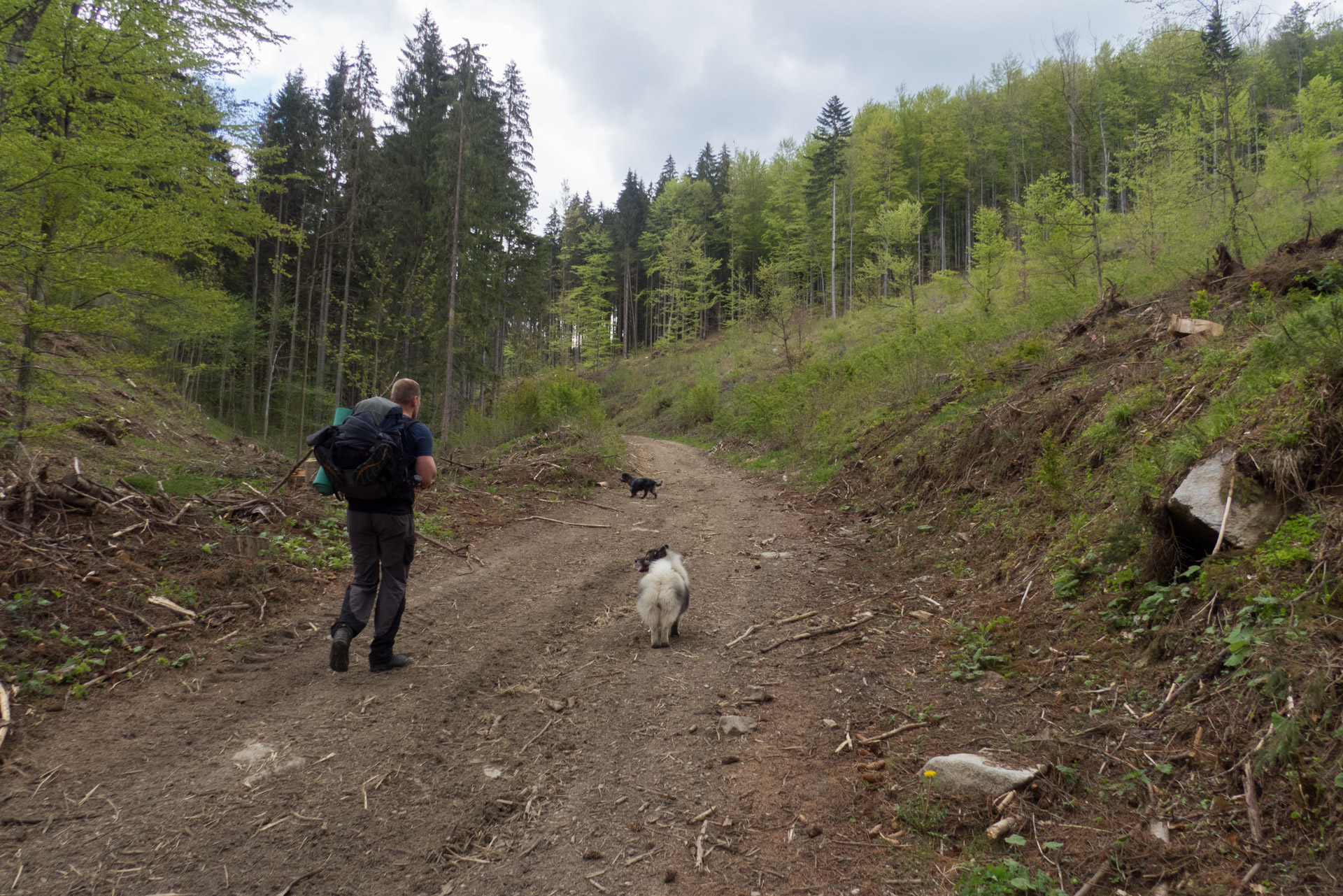 Hrebeňovka Slovenského Rudohoria (2. deň) (Veporské vrchy)