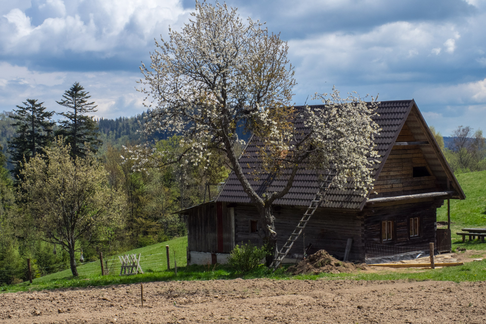 Hrebeňovka Slovenského Rudohoria (2. deň) (Veporské vrchy)