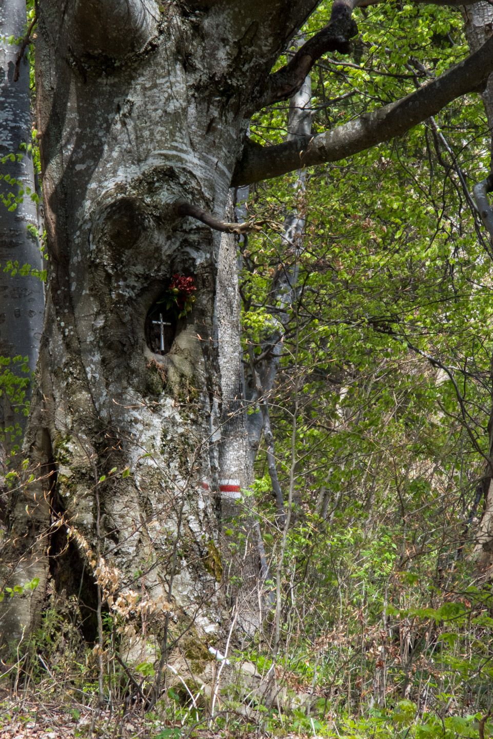 Hrebeňovka Slovenského Rudohoria (2. deň) (Veporské vrchy)