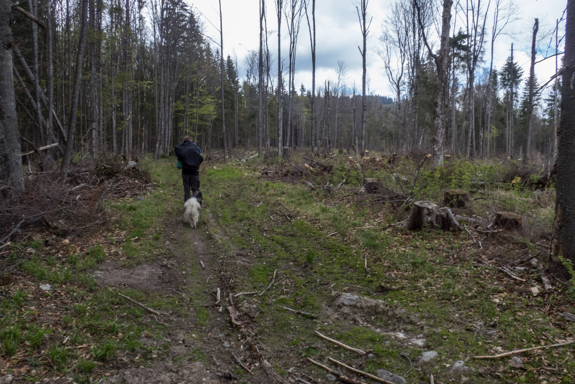 Hrebeňovka Slovenského Rudohoria (2. deň) (Veporské vrchy)