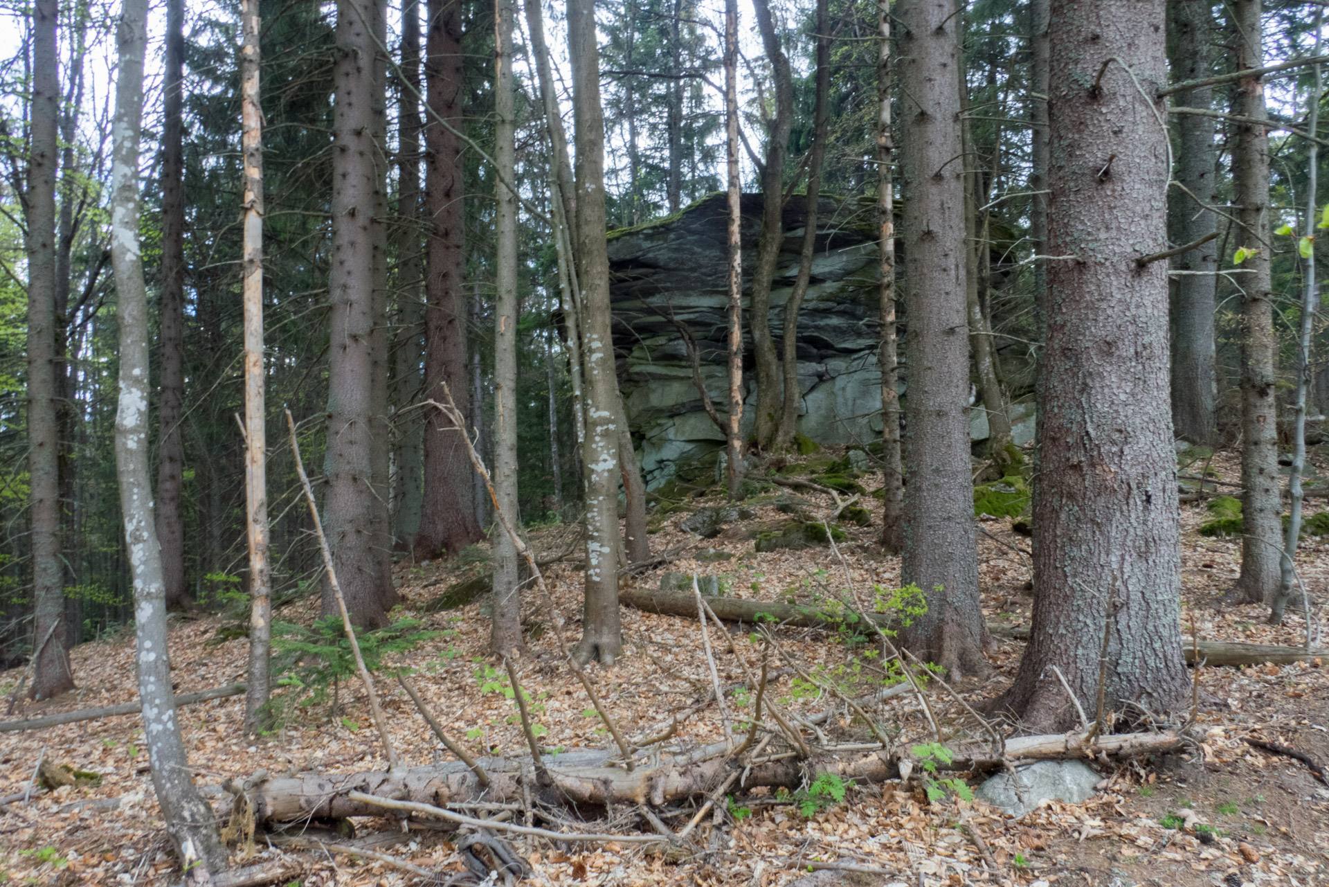 Hrebeňovka Slovenského Rudohoria (2. deň) (Veporské vrchy)