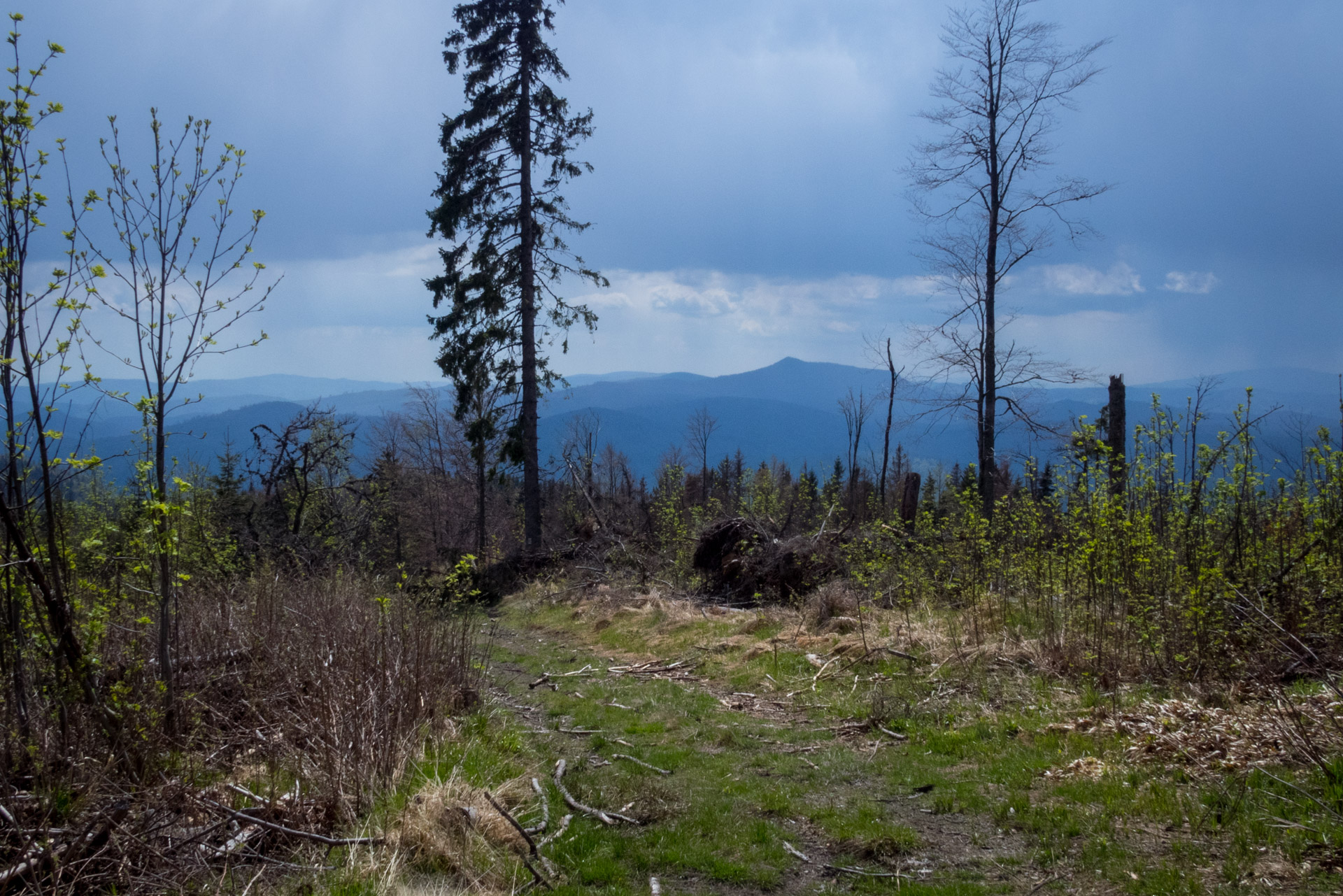 Hrebeňovka Slovenského Rudohoria (2. deň) (Veporské vrchy)