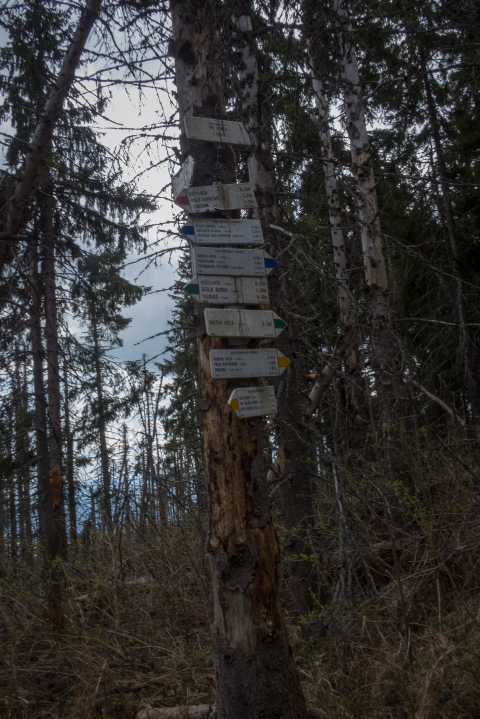 Hrebeňovka Slovenského Rudohoria (2. deň) (Veporské vrchy)