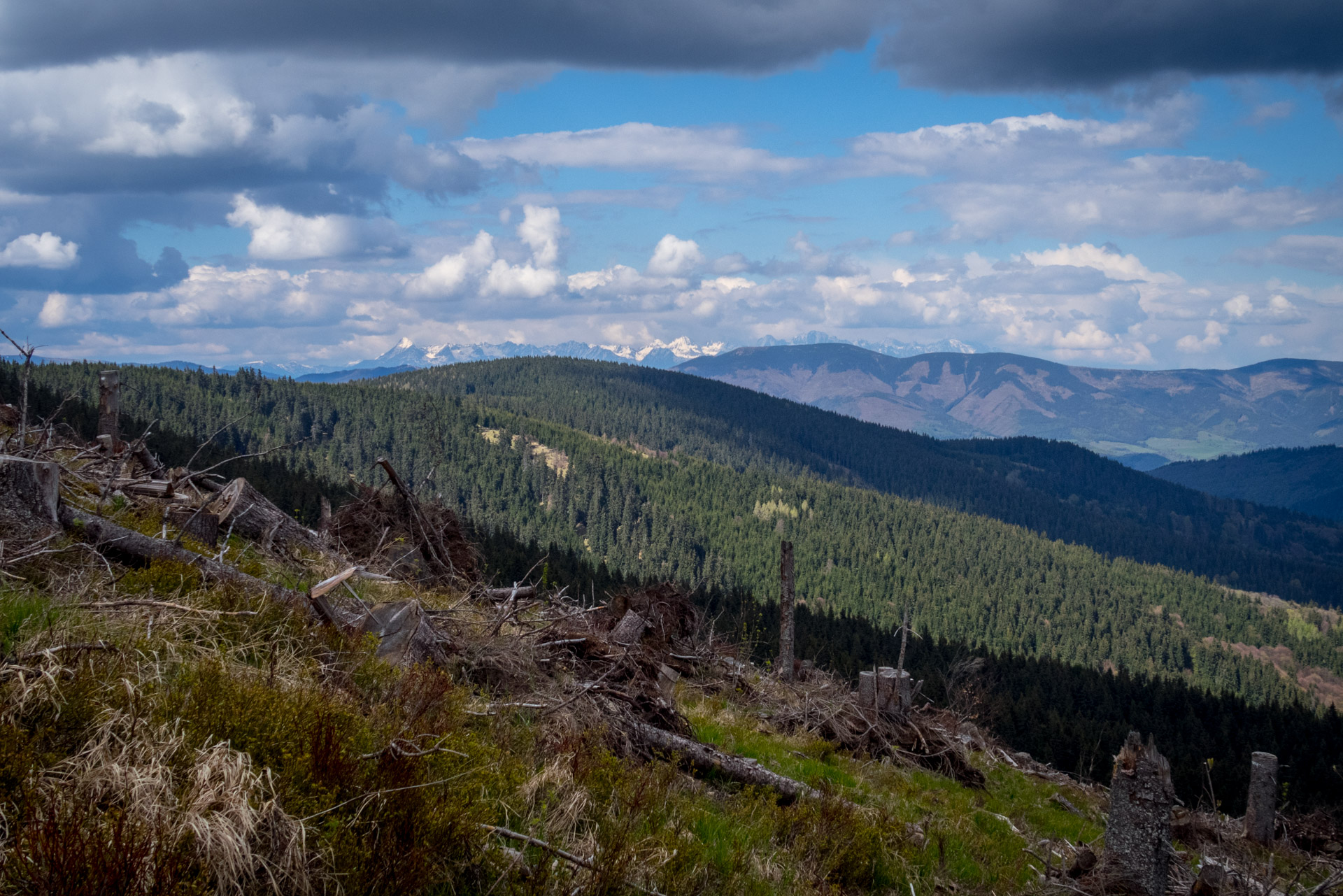 Hrebeňovka Slovenského Rudohoria (2. deň) (Veporské vrchy)