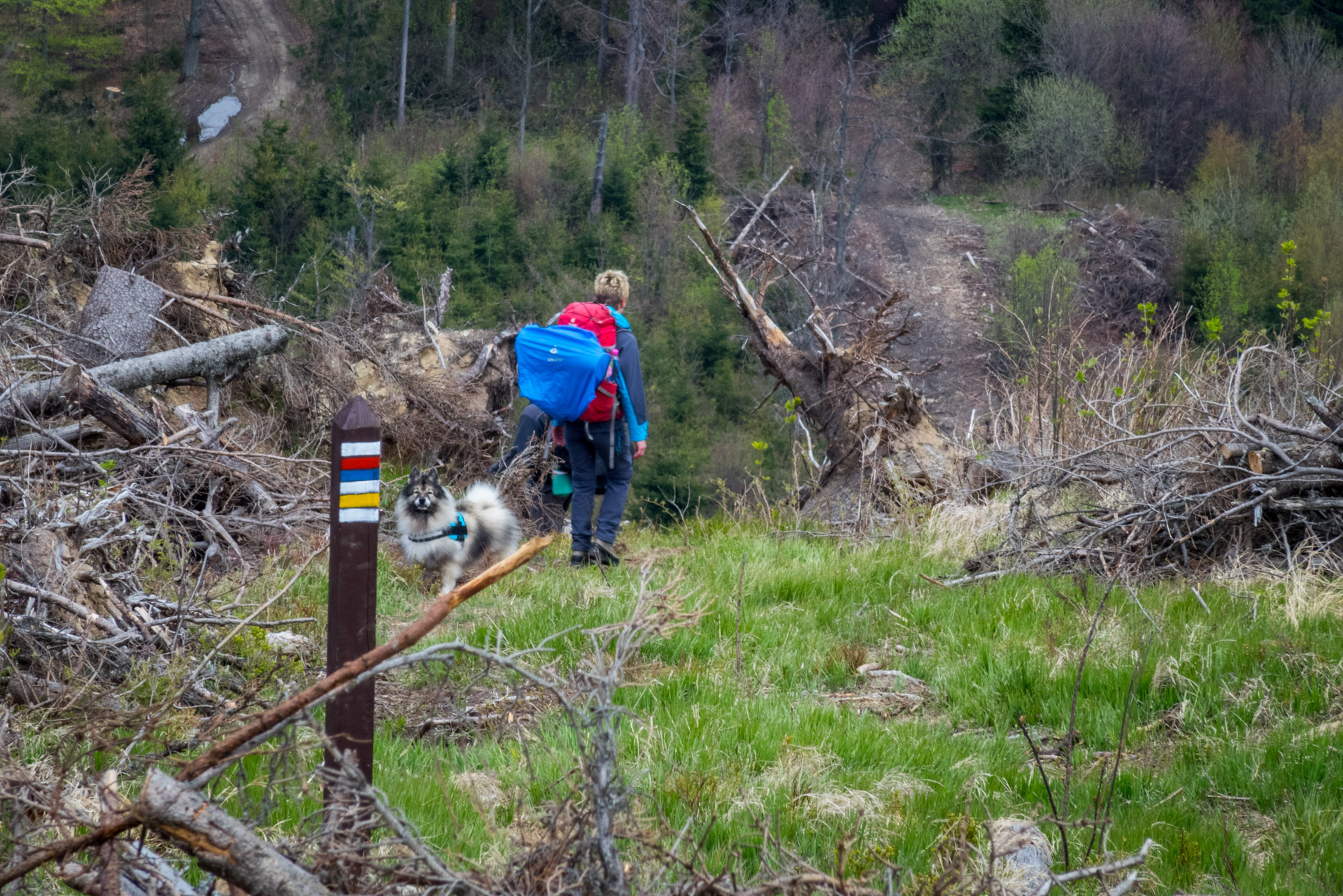 Hrebeňovka Slovenského Rudohoria (2. deň) (Veporské vrchy)