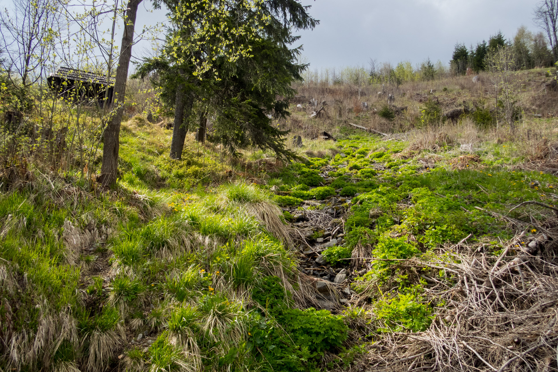 Hrebeňovka Slovenského Rudohoria (2. deň) (Veporské vrchy)