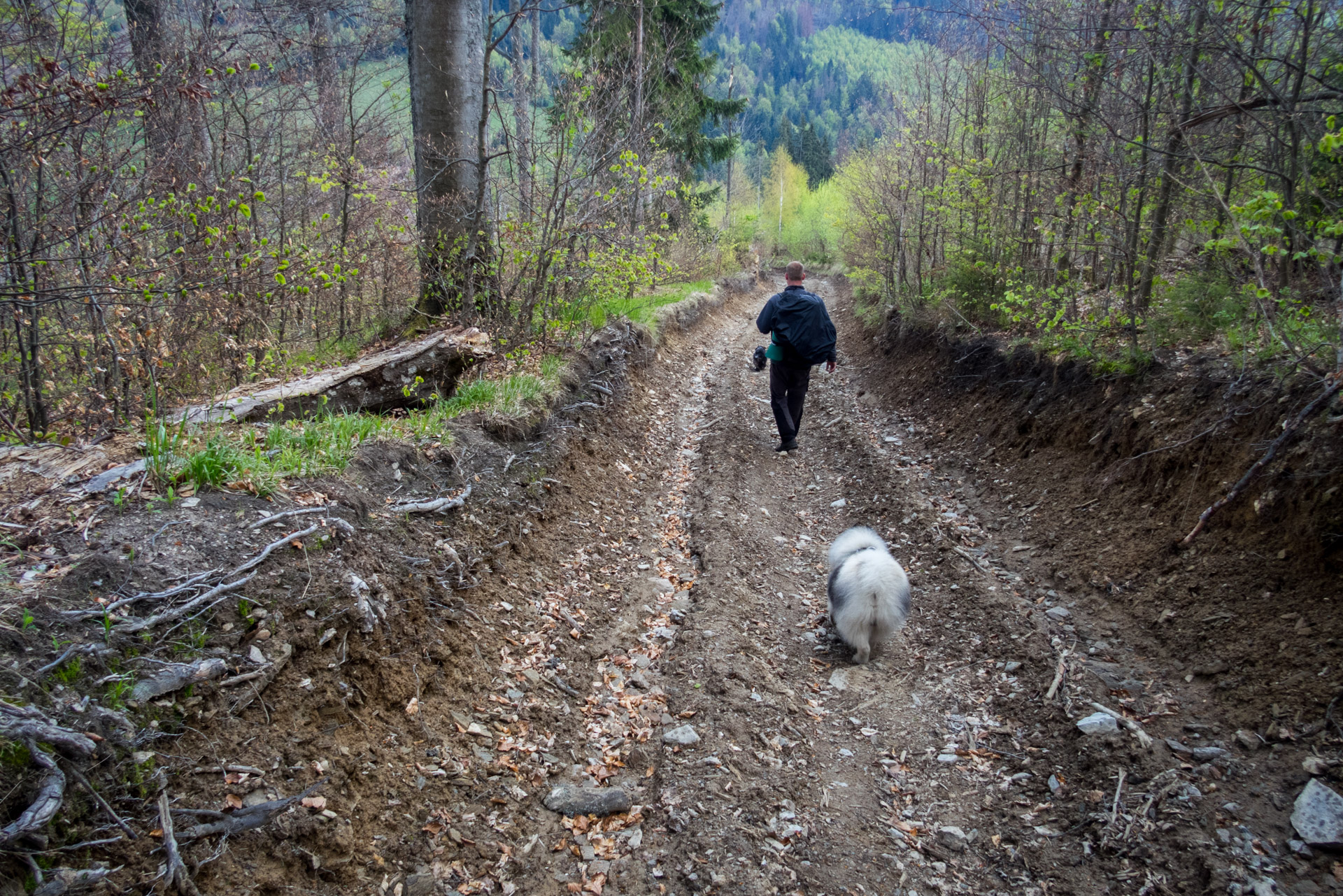 Hrebeňovka Slovenského Rudohoria (2. deň) (Veporské vrchy)