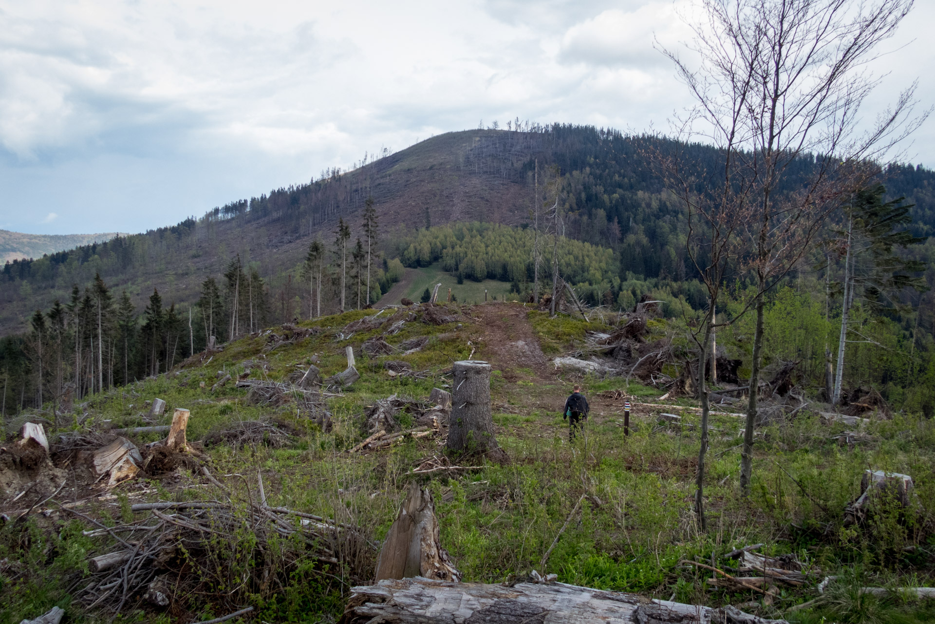 Hrebeňovka Slovenského Rudohoria (2. deň) (Veporské vrchy)