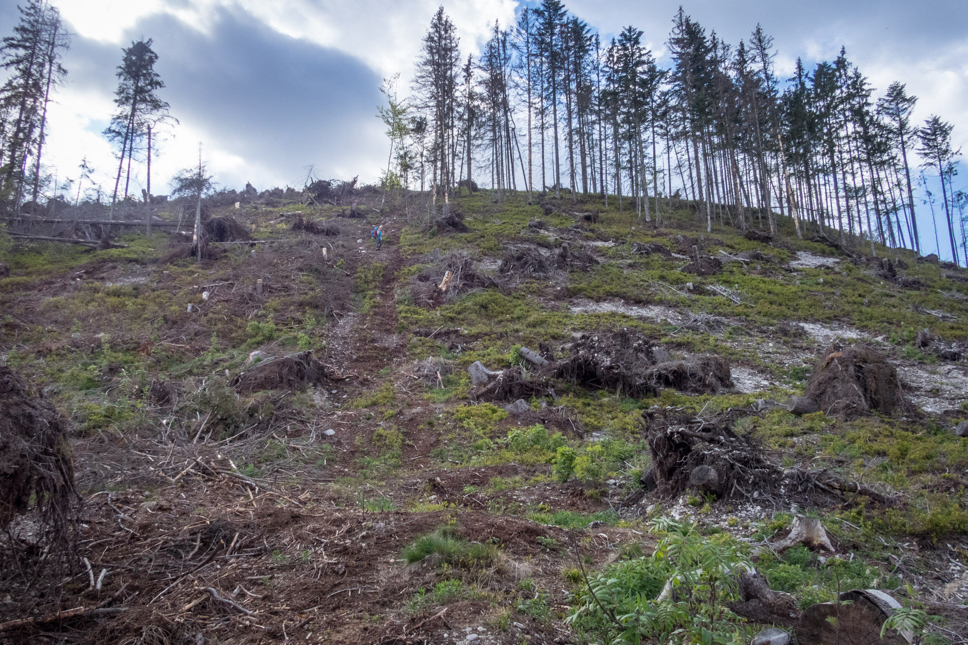 Hrebeňovka Slovenského Rudohoria (2. deň) (Veporské vrchy)