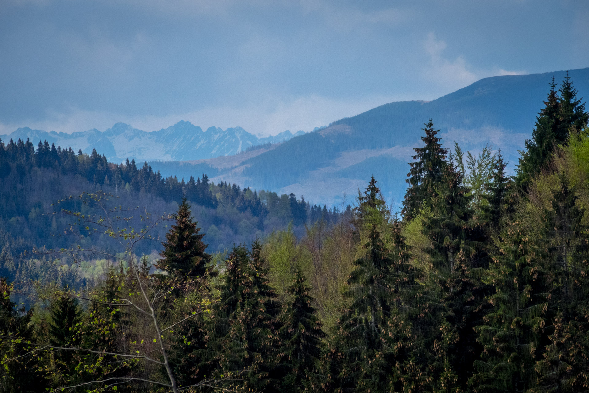 Hrebeňovka Slovenského Rudohoria (2. deň) (Veporské vrchy)