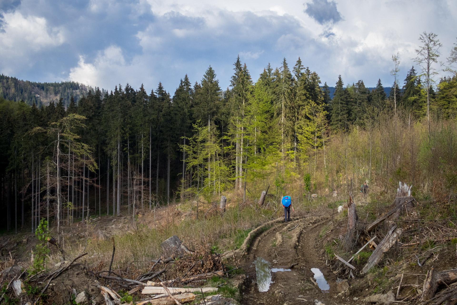 Hrebeňovka Slovenského Rudohoria (2. deň) (Veporské vrchy)