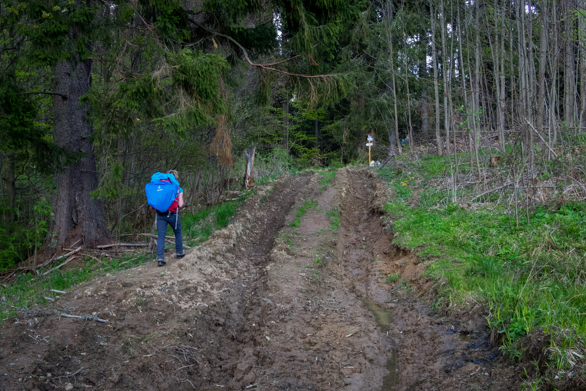 Hrebeňovka Slovenského Rudohoria (2. deň) (Veporské vrchy)