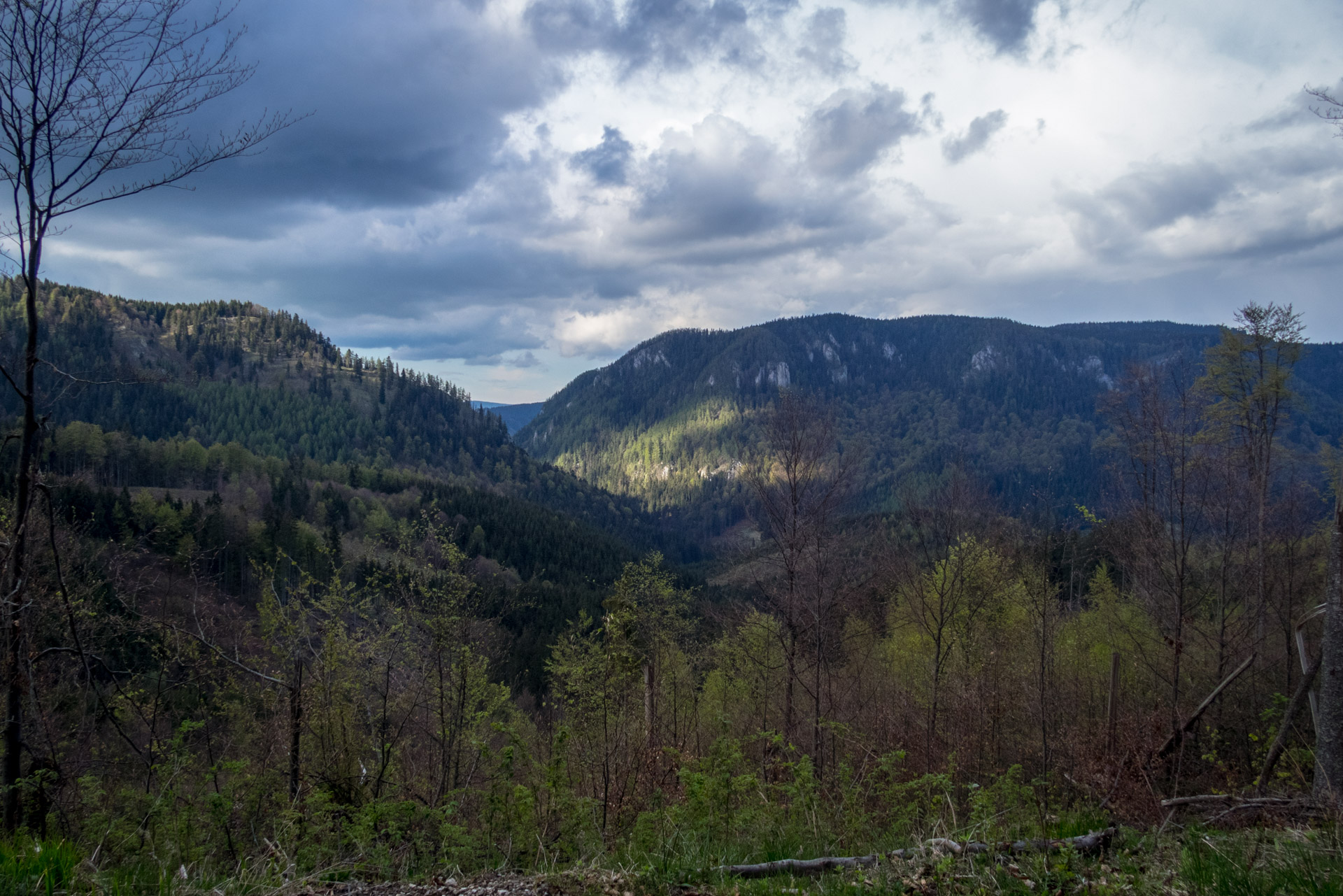 Hrebeňovka Slovenského Rudohoria (2. deň) (Veporské vrchy)