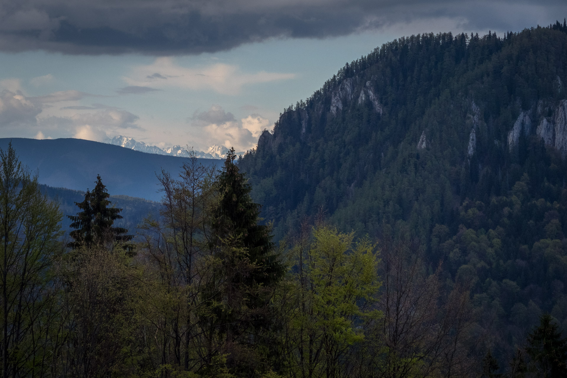 Hrebeňovka Slovenského Rudohoria (2. deň) (Veporské vrchy)