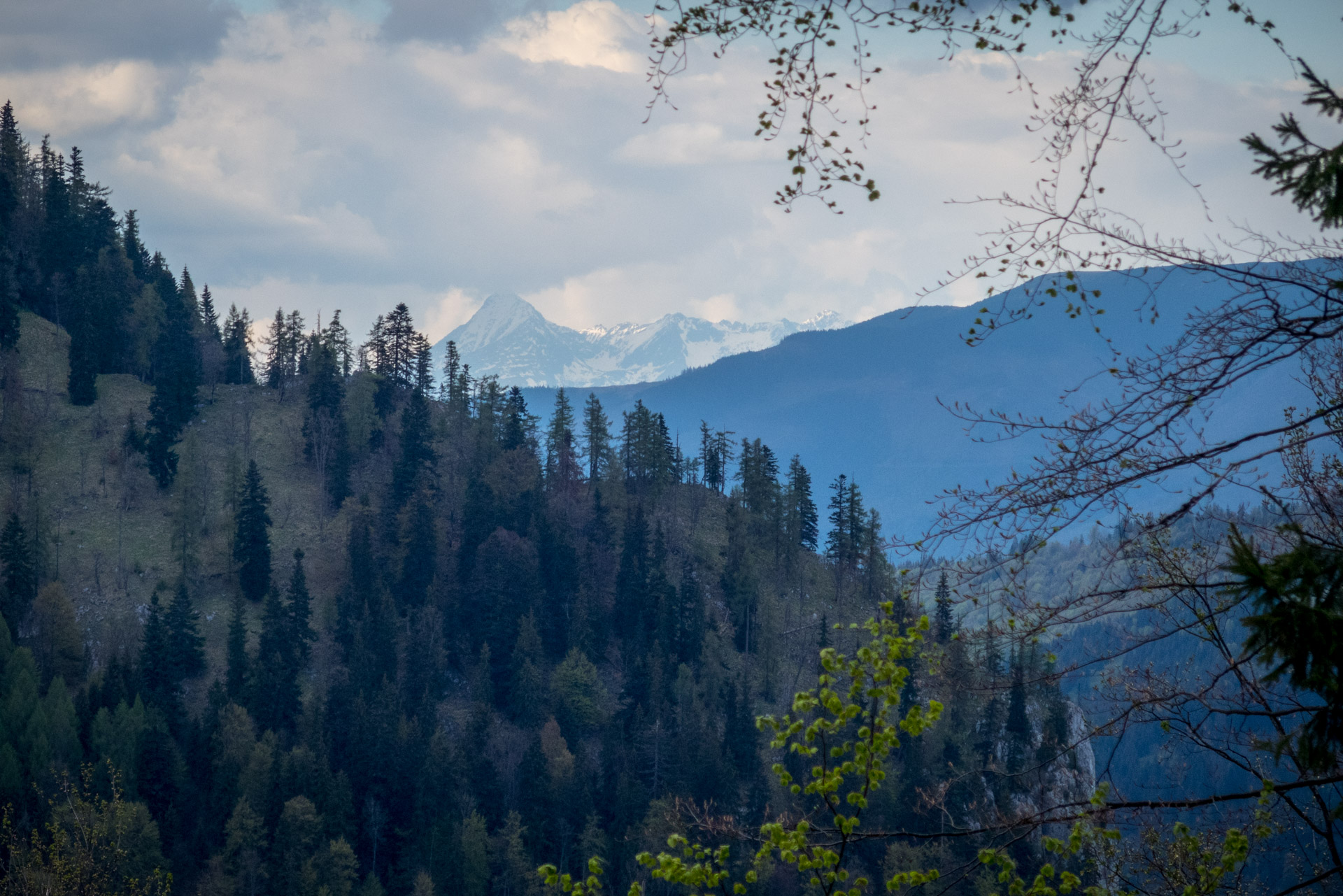 Hrebeňovka Slovenského Rudohoria (2. deň) (Veporské vrchy)