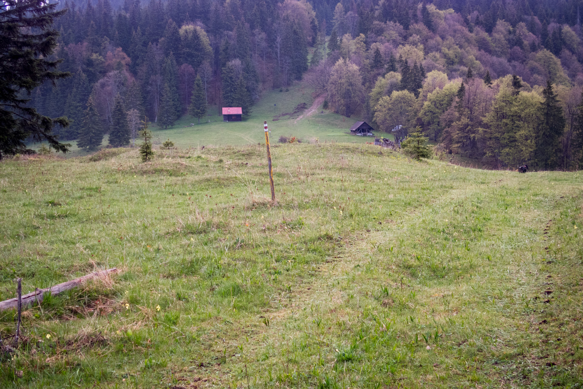 Hrebeňovka Slovenského Rudohoria (2. deň) (Veporské vrchy)