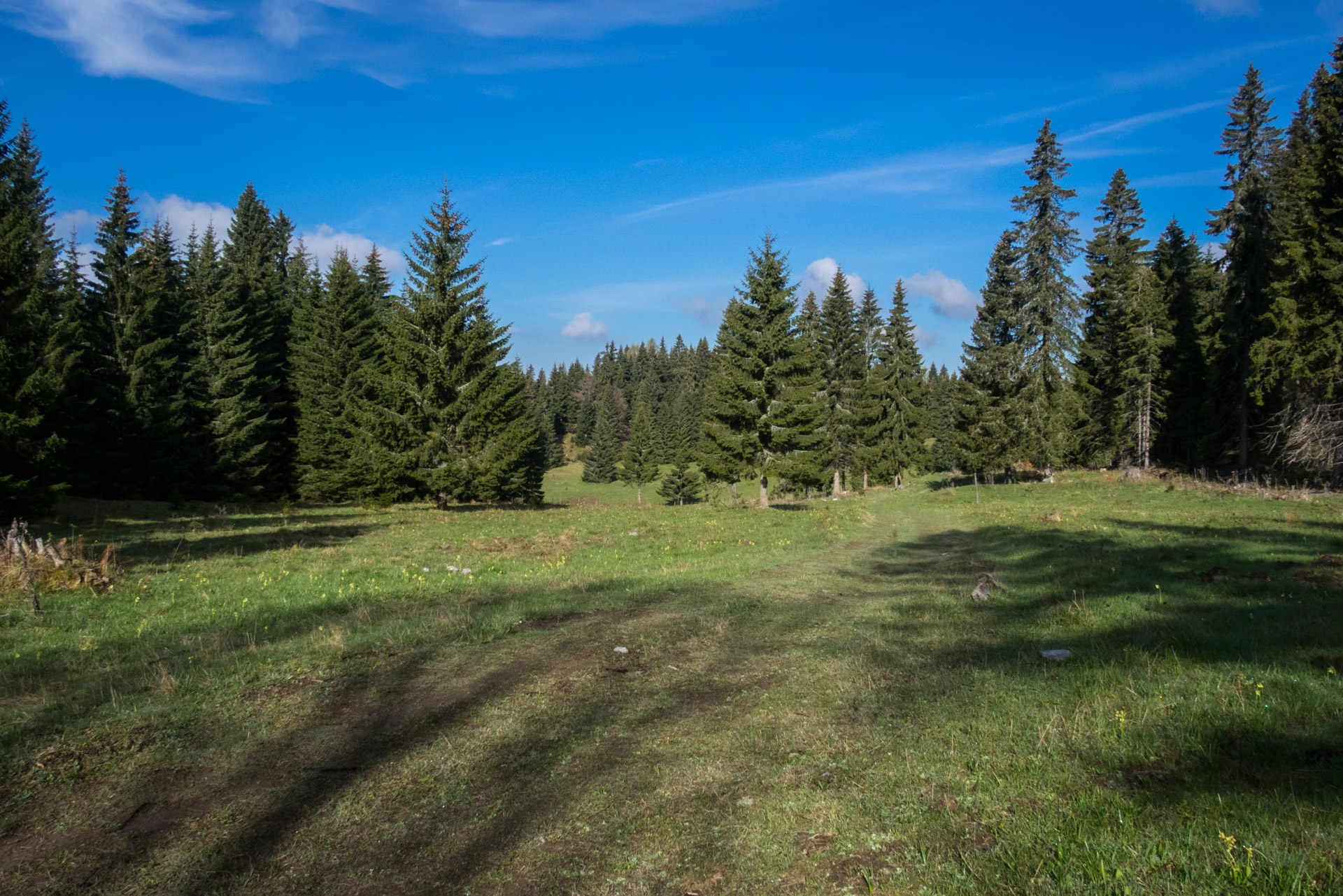 Hrebeňovka Slovenského Rudohoria (3. deň) (Muránska planina)