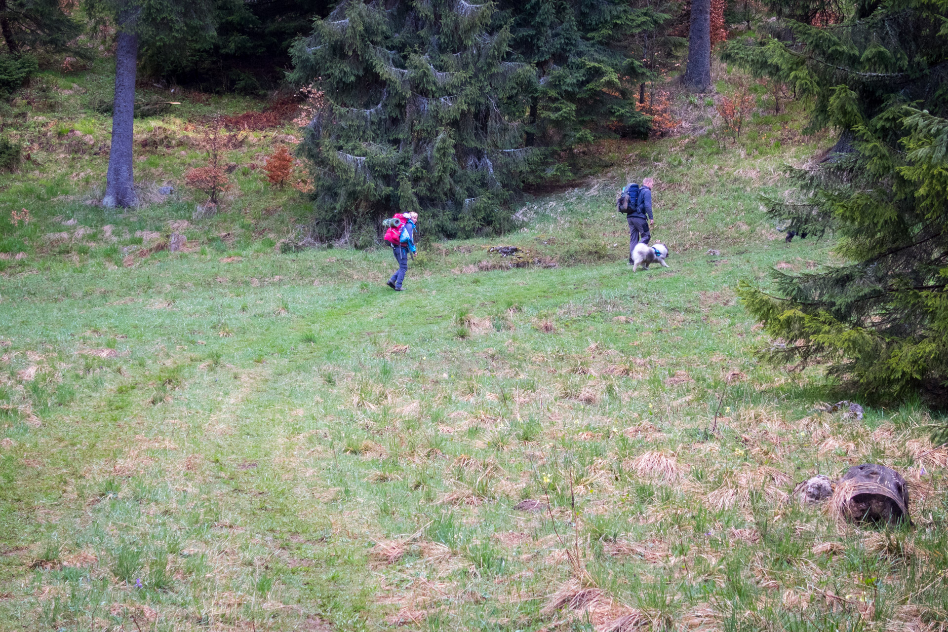 Hrebeňovka Slovenského Rudohoria (3. deň) (Muránska planina)