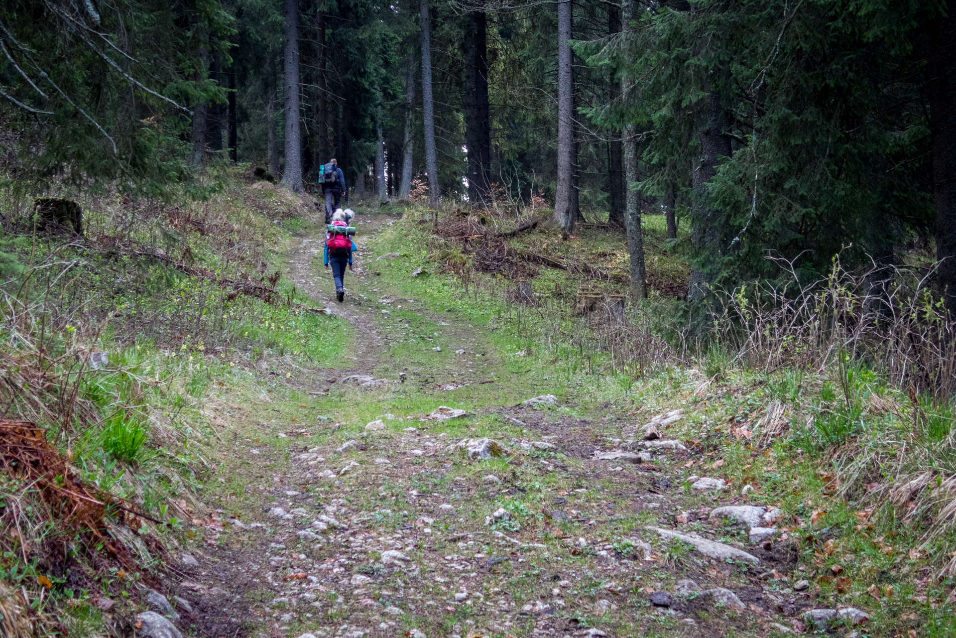 Hrebeňovka Slovenského Rudohoria (3. deň) (Muránska planina)