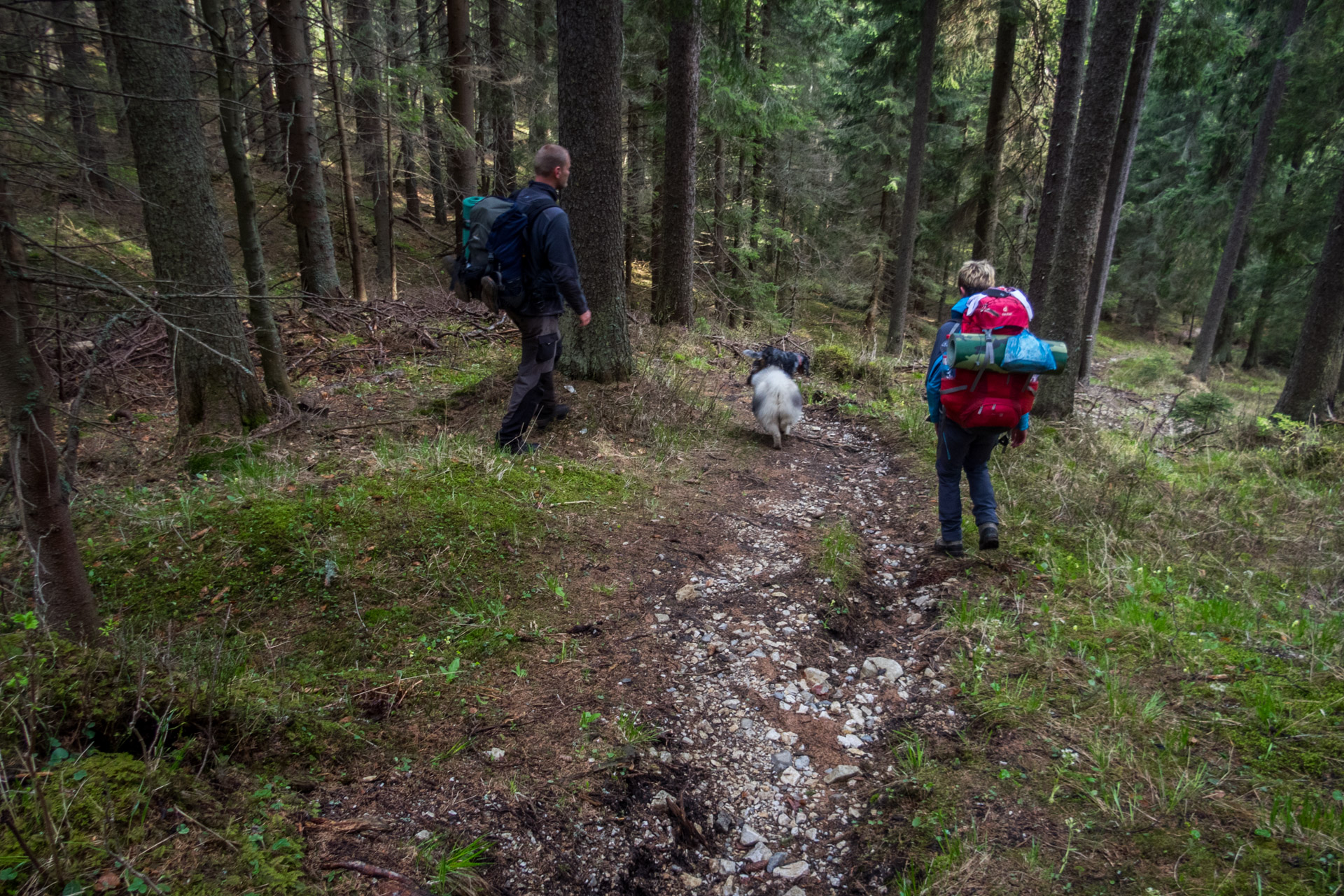 Hrebeňovka Slovenského Rudohoria (3. deň) (Muránska planina)