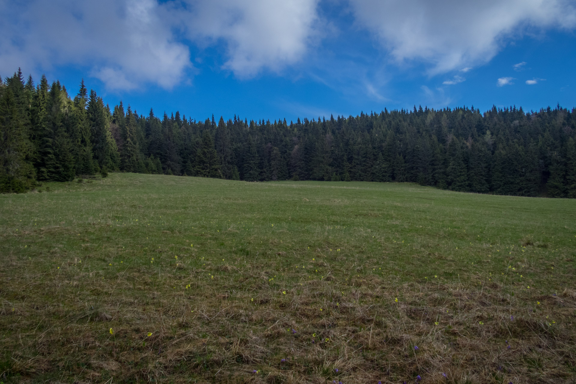 Hrebeňovka Slovenského Rudohoria (3. deň) (Muránska planina)