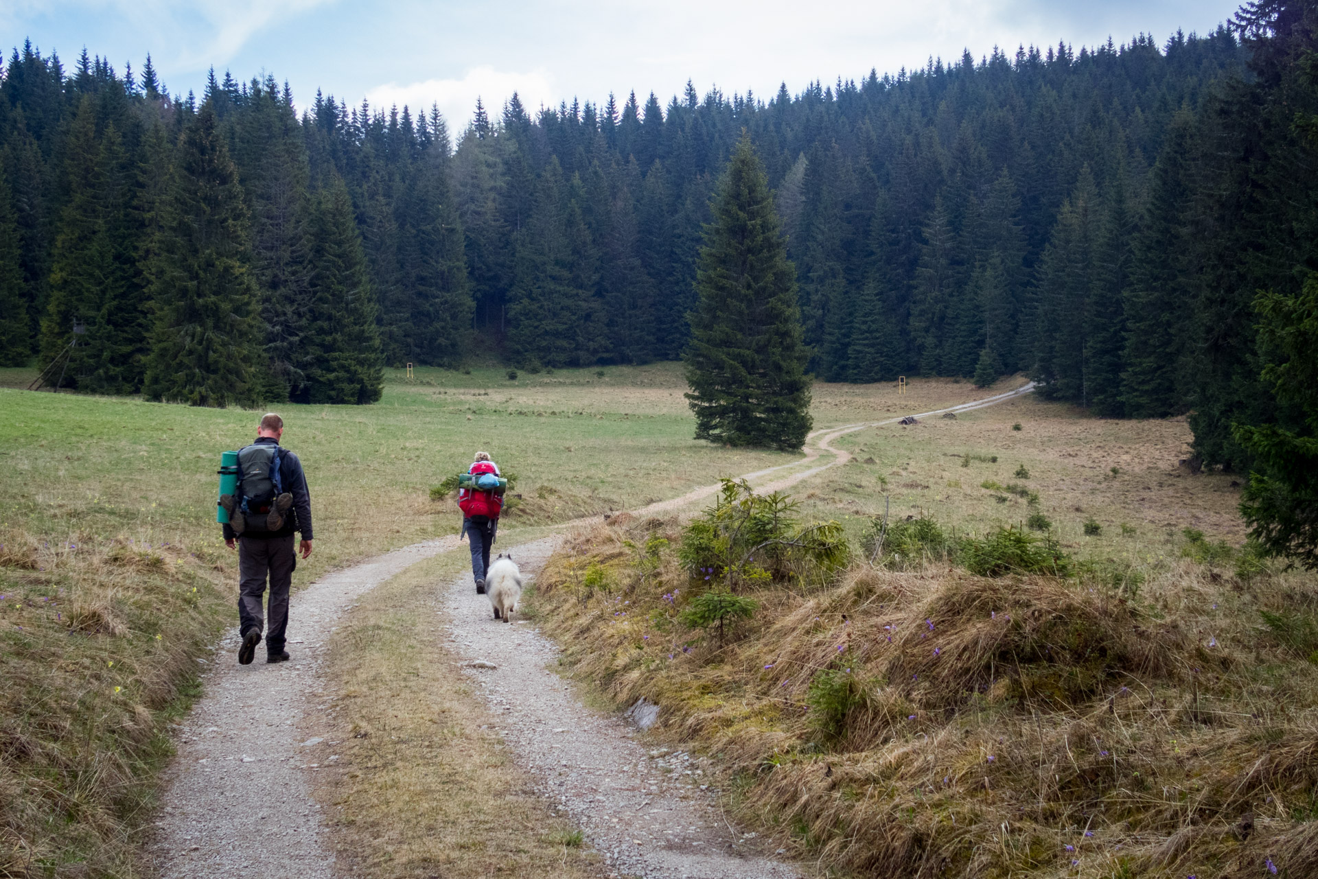 Hrebeňovka Slovenského Rudohoria (3. deň) (Muránska planina)