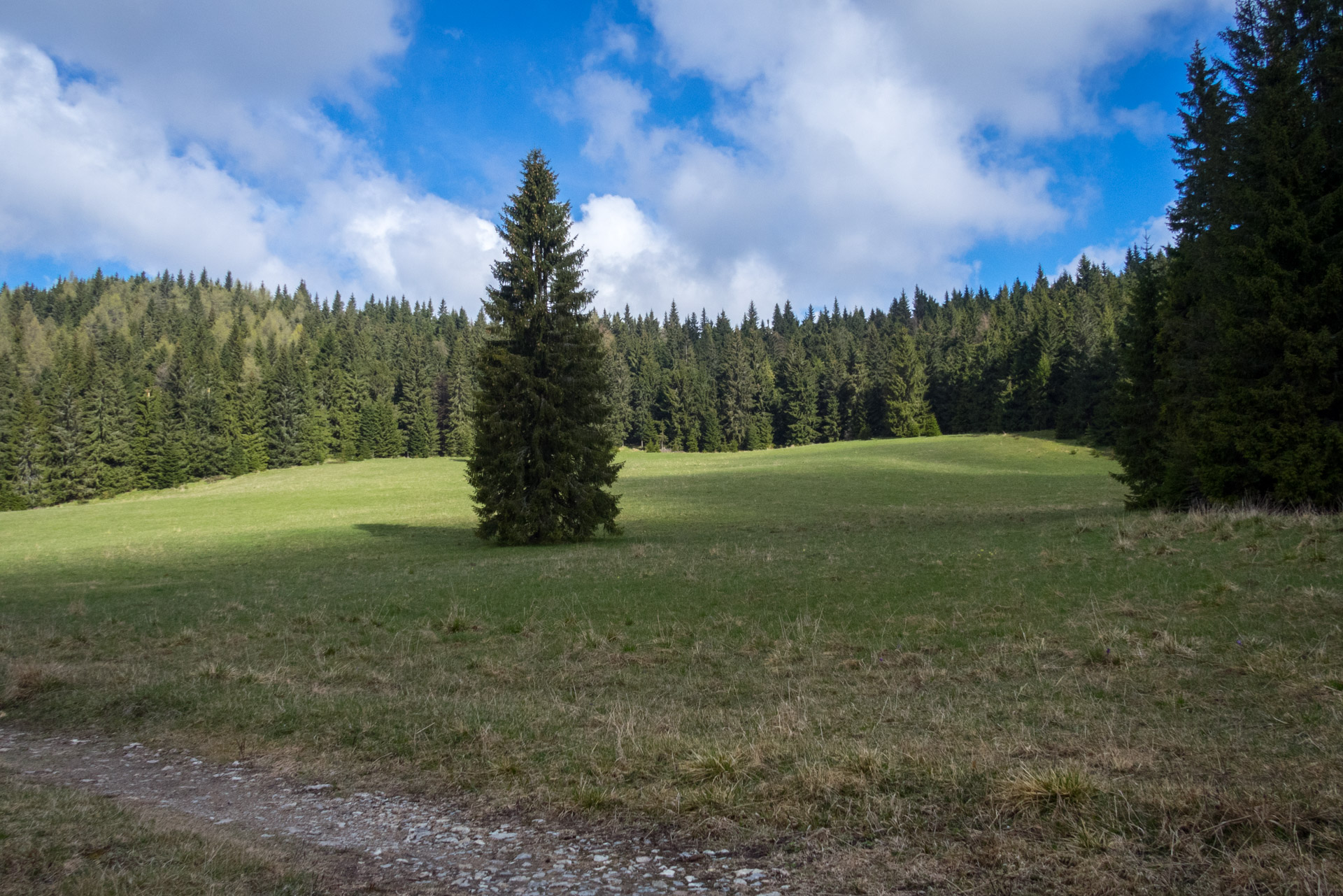 Hrebeňovka Slovenského Rudohoria (3. deň) (Muránska planina)