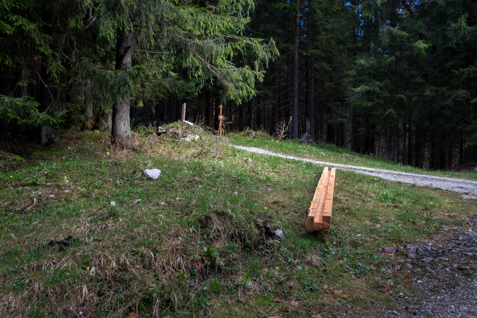 Hrebeňovka Slovenského Rudohoria (3. deň) (Muránska planina)