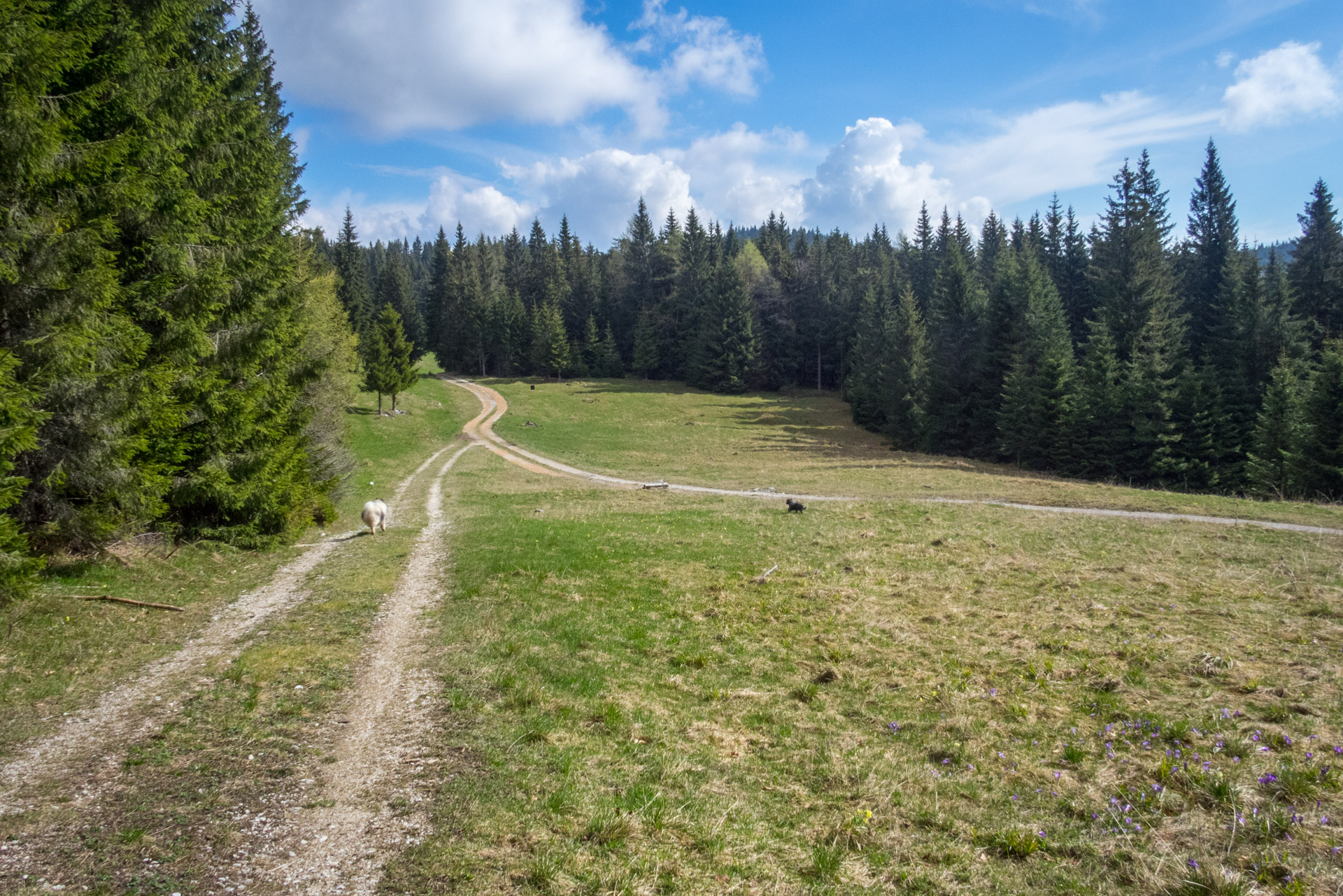 Hrebeňovka Slovenského Rudohoria (3. deň) (Muránska planina)