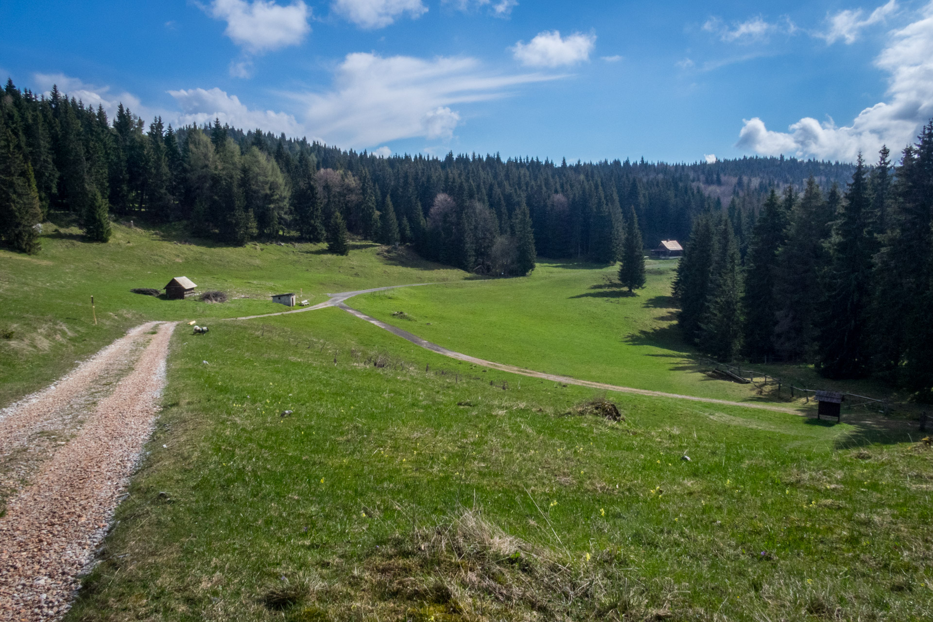 Hrebeňovka Slovenského Rudohoria (3. deň) (Muránska planina)