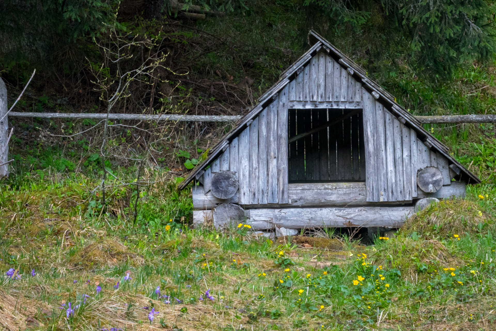 Hrebeňovka Slovenského Rudohoria (3. deň) (Muránska planina)