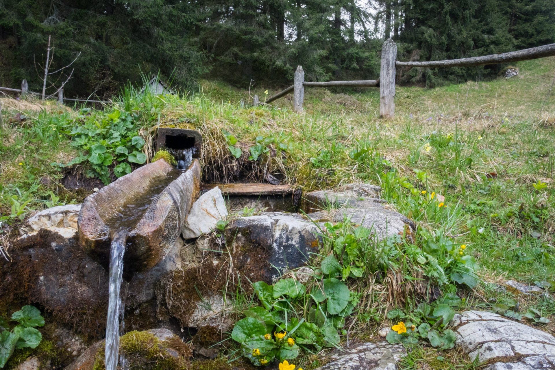 Hrebeňovka Slovenského Rudohoria (3. deň) (Muránska planina)