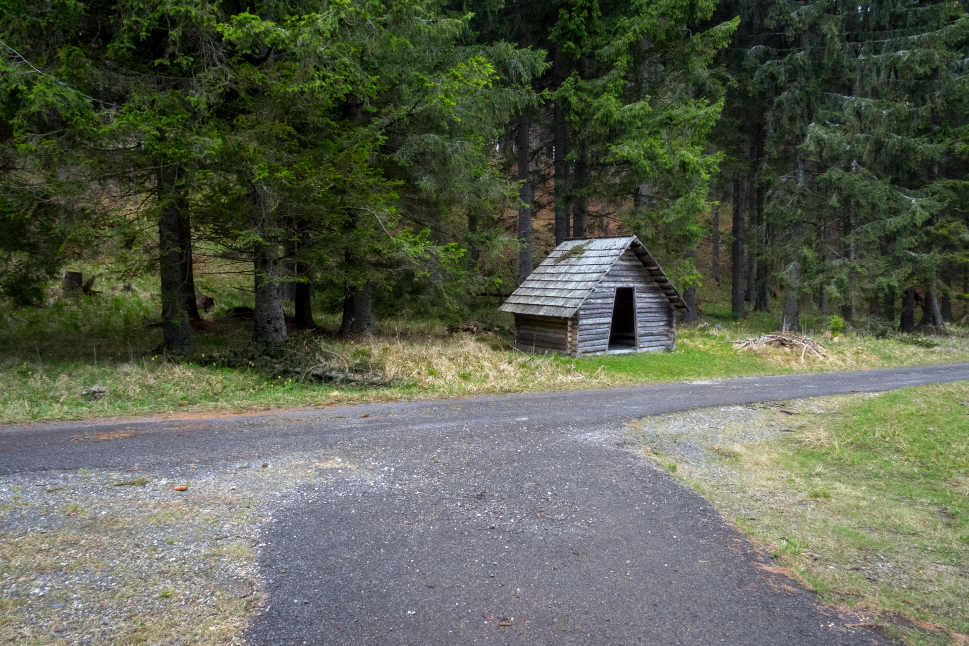 Hrebeňovka Slovenského Rudohoria (3. deň) (Muránska planina)