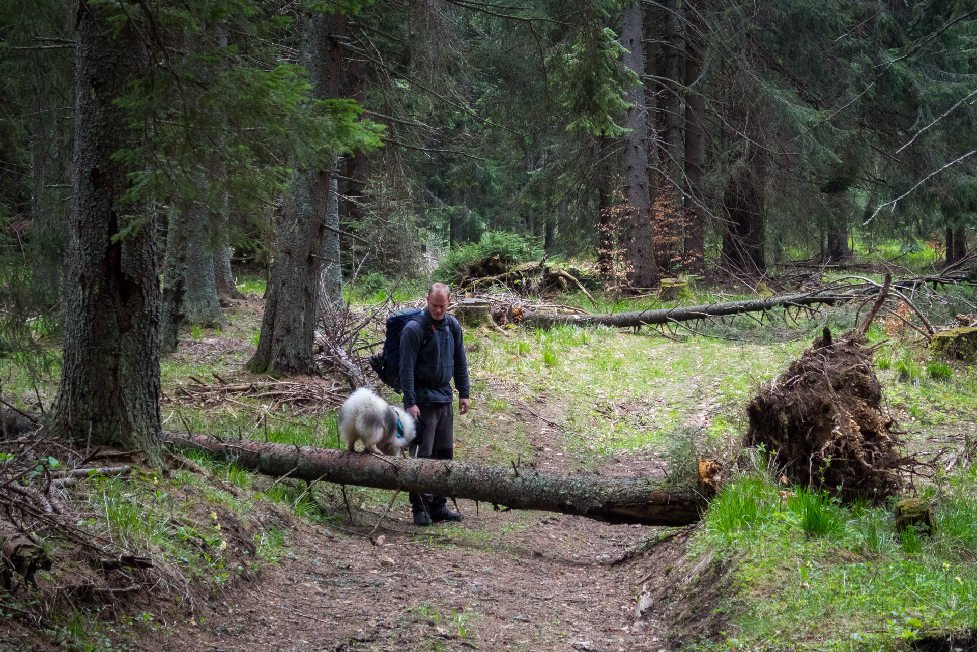 Hrebeňovka Slovenského Rudohoria (3. deň) (Muránska planina)