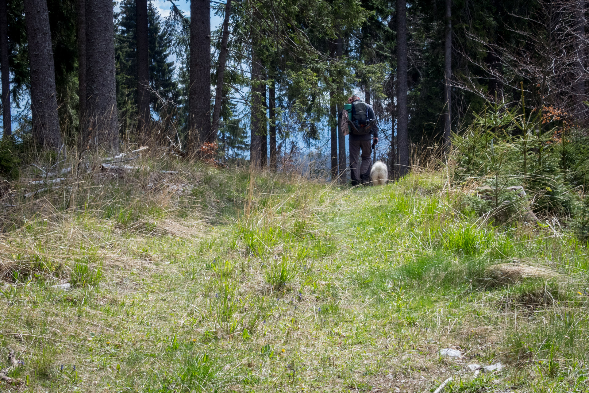 Hrebeňovka Slovenského Rudohoria (3. deň) (Muránska planina)