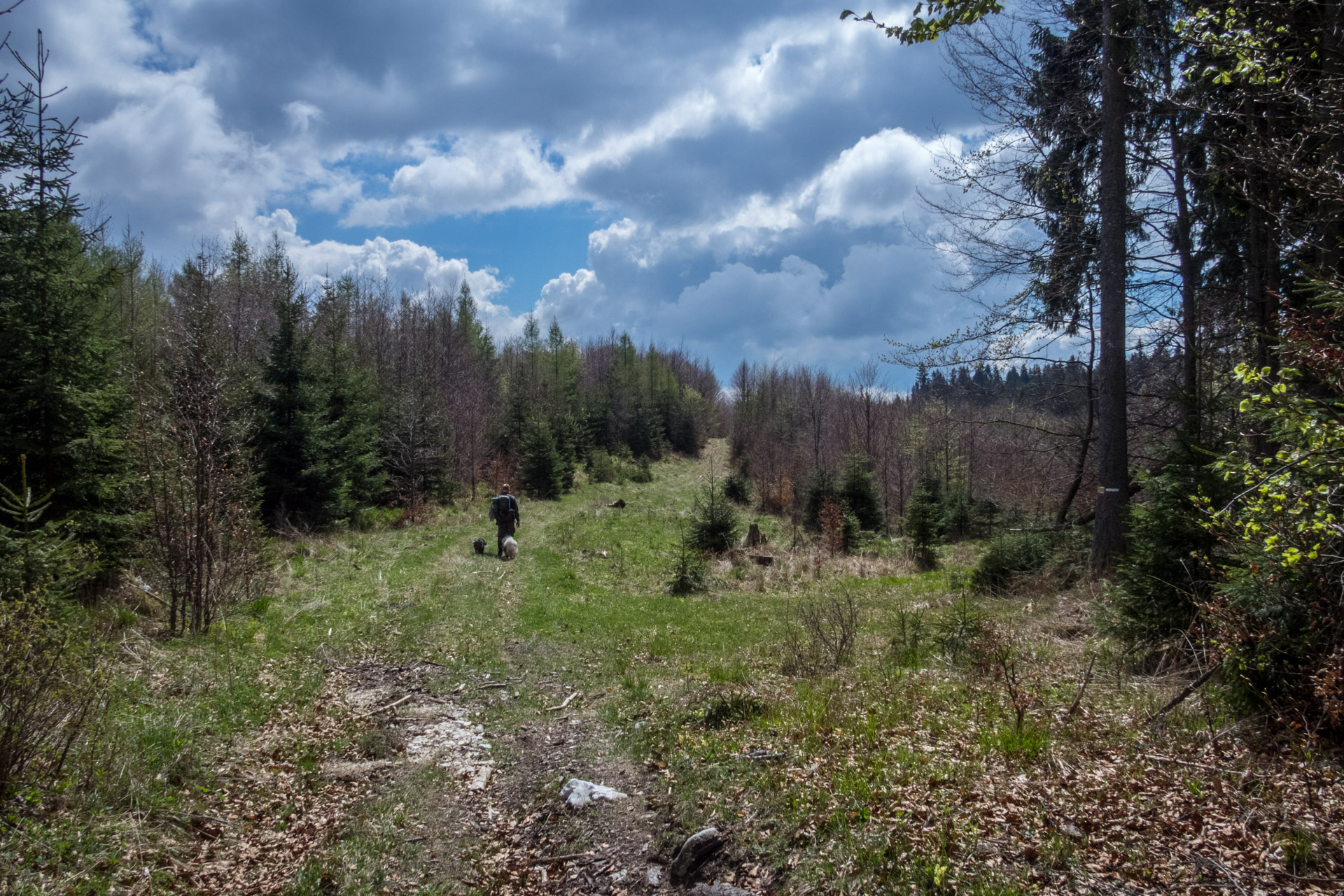 Hrebeňovka Slovenského Rudohoria (3. deň) (Muránska planina)