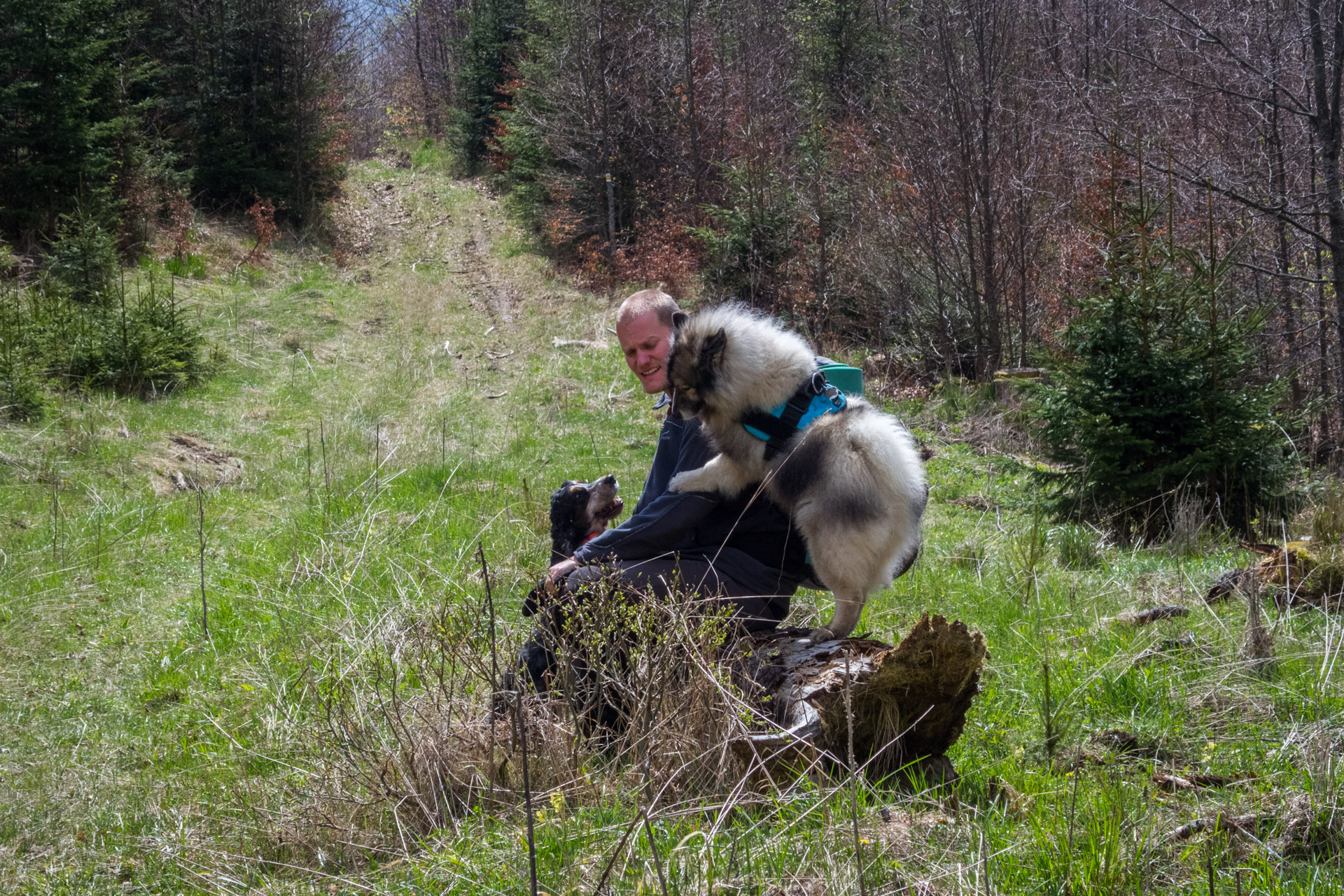 Hrebeňovka Slovenského Rudohoria (3. deň) (Muránska planina)