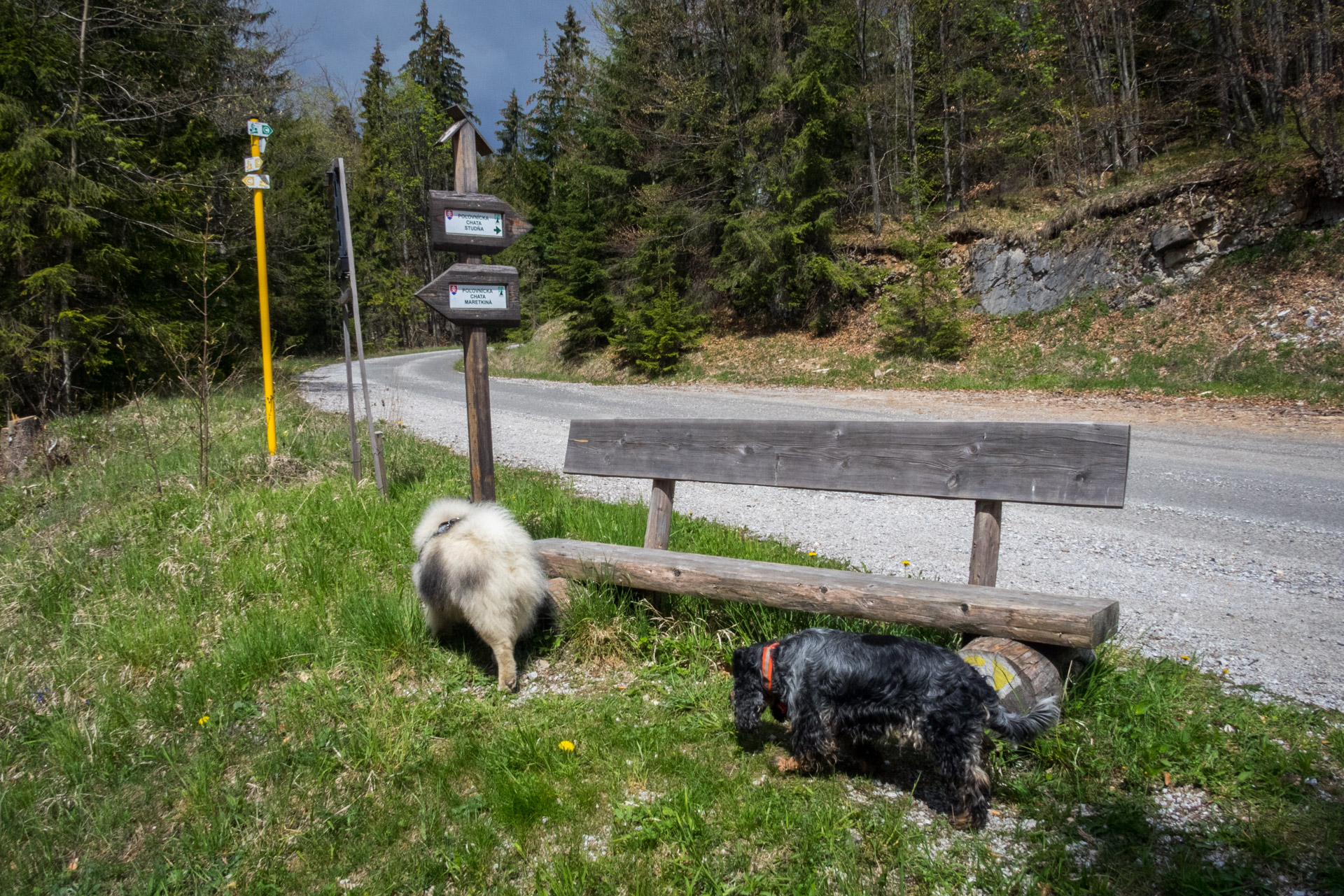 Hrebeňovka Slovenského Rudohoria (3. deň) (Muránska planina)