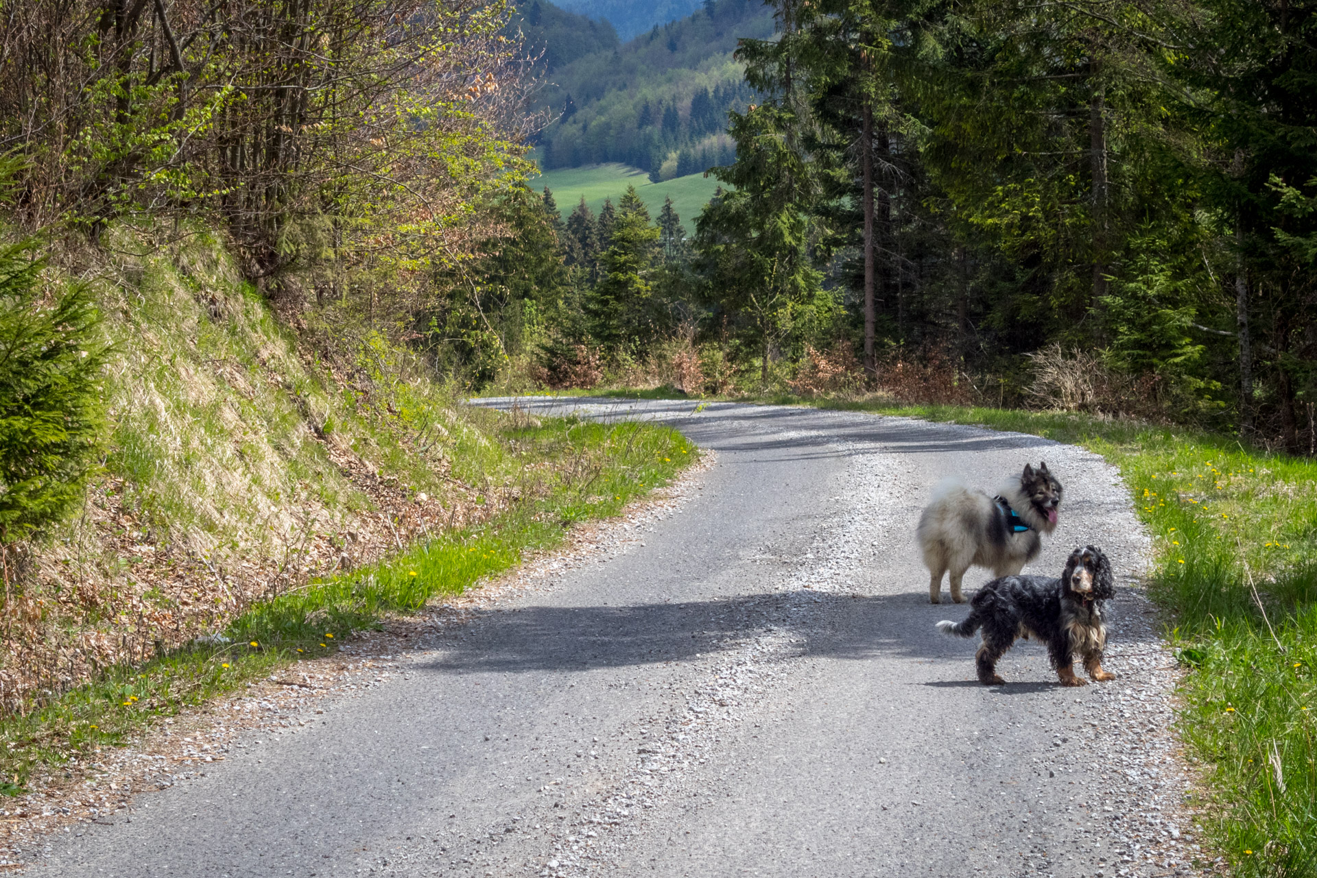 Hrebeňovka Slovenského Rudohoria (3. deň) (Muránska planina)