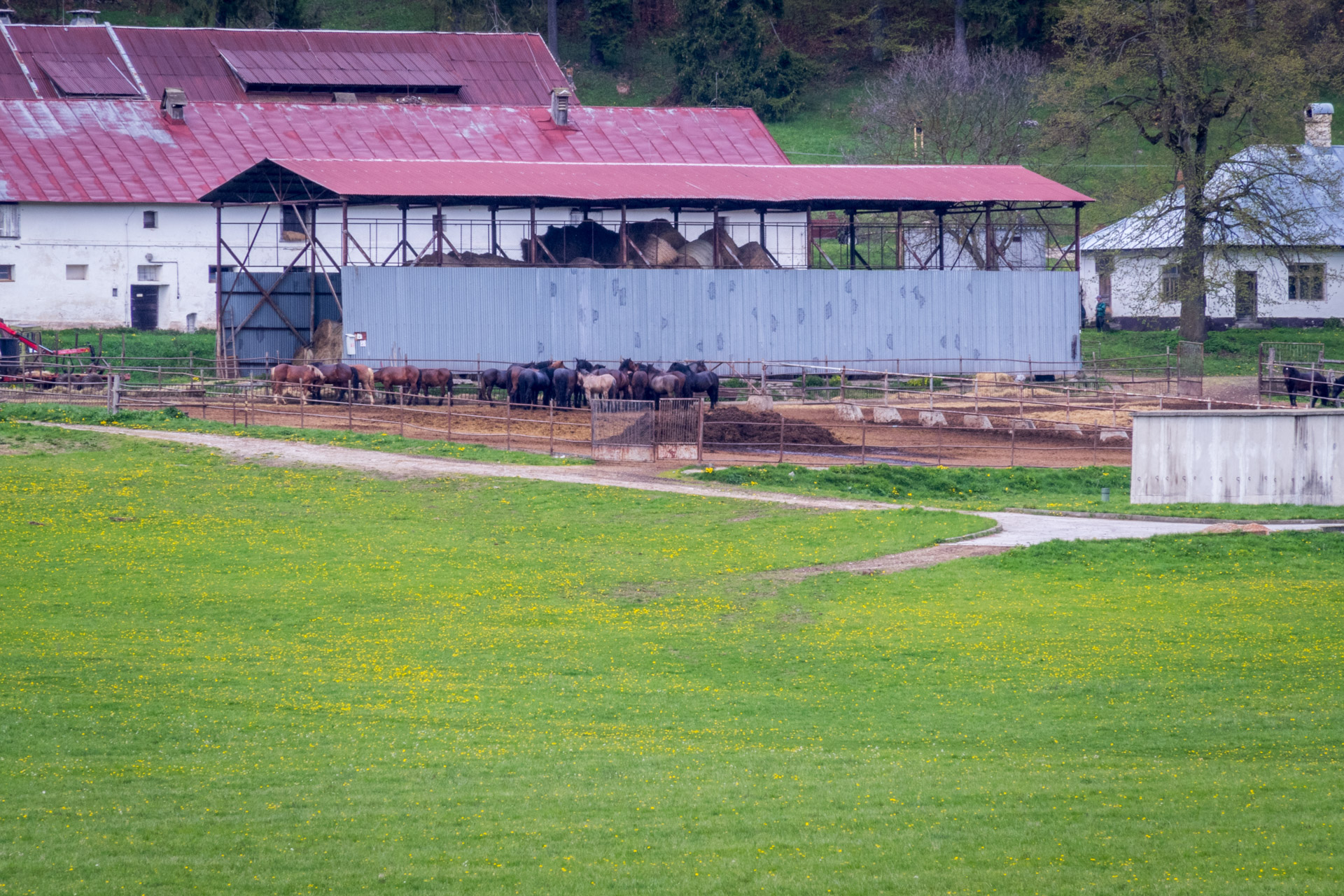 Hrebeňovka Slovenského Rudohoria (3. deň) (Muránska planina)