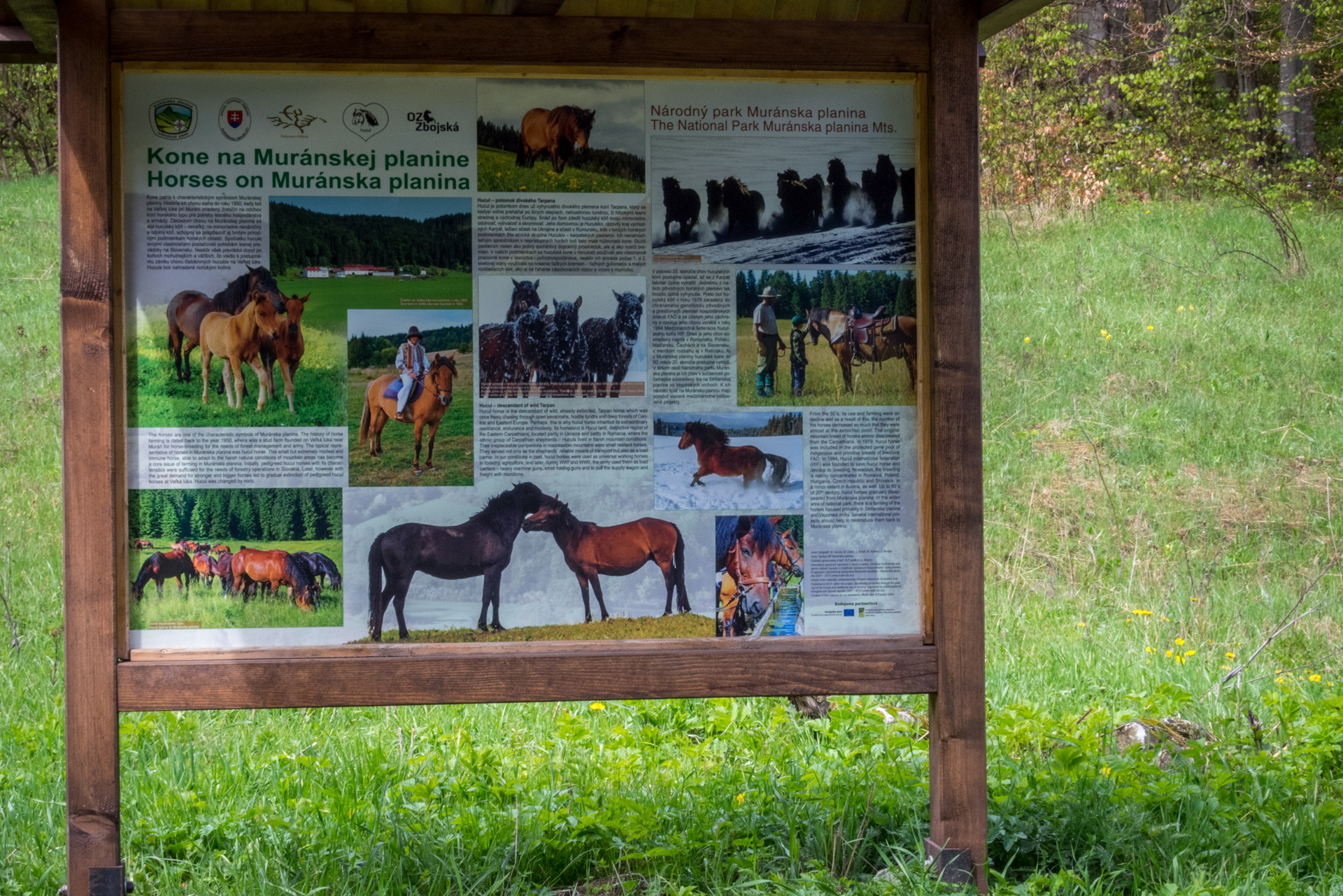 Hrebeňovka Slovenského Rudohoria (3. deň) (Muránska planina)