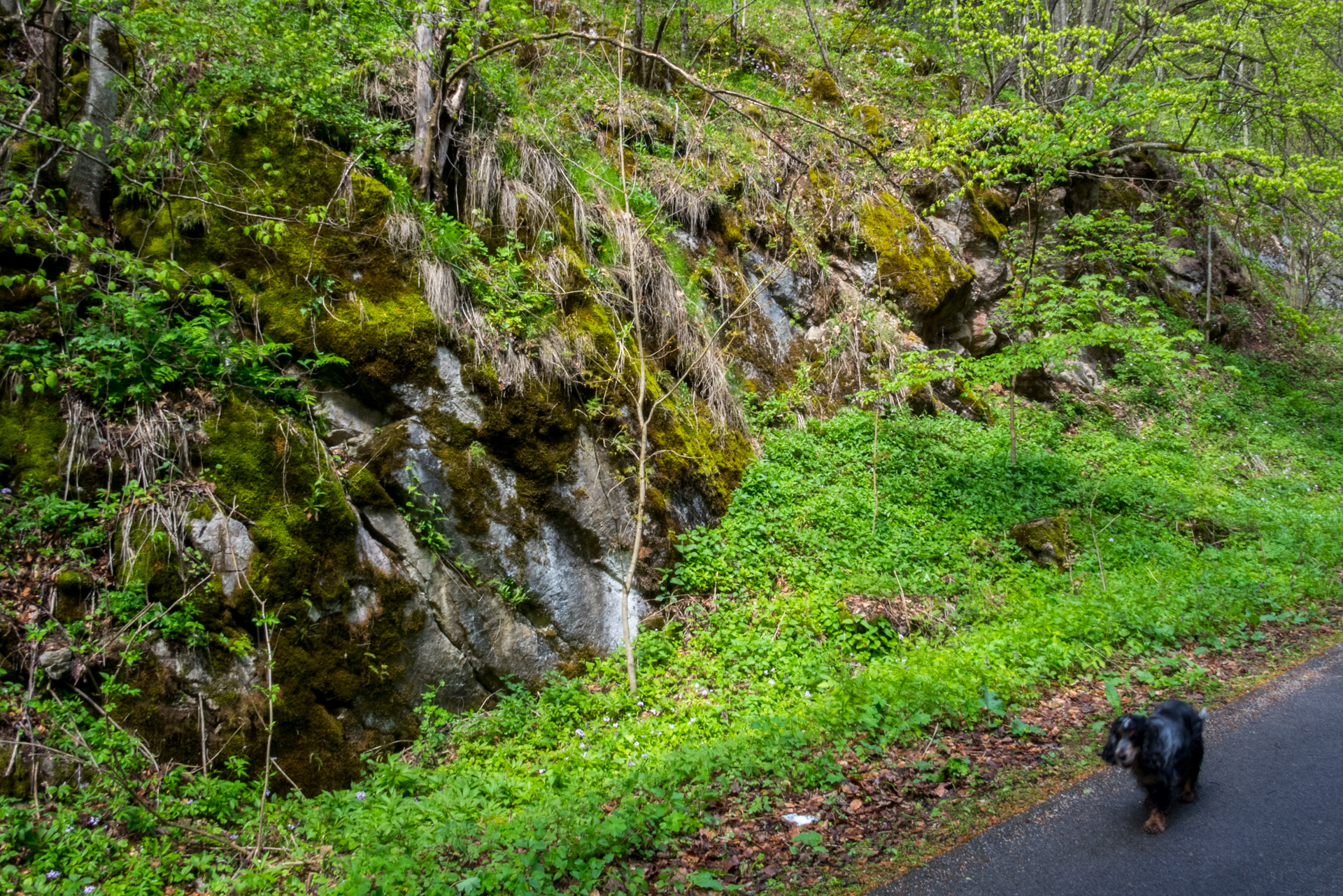 Hrebeňovka Slovenského Rudohoria (3. deň) (Muránska planina)